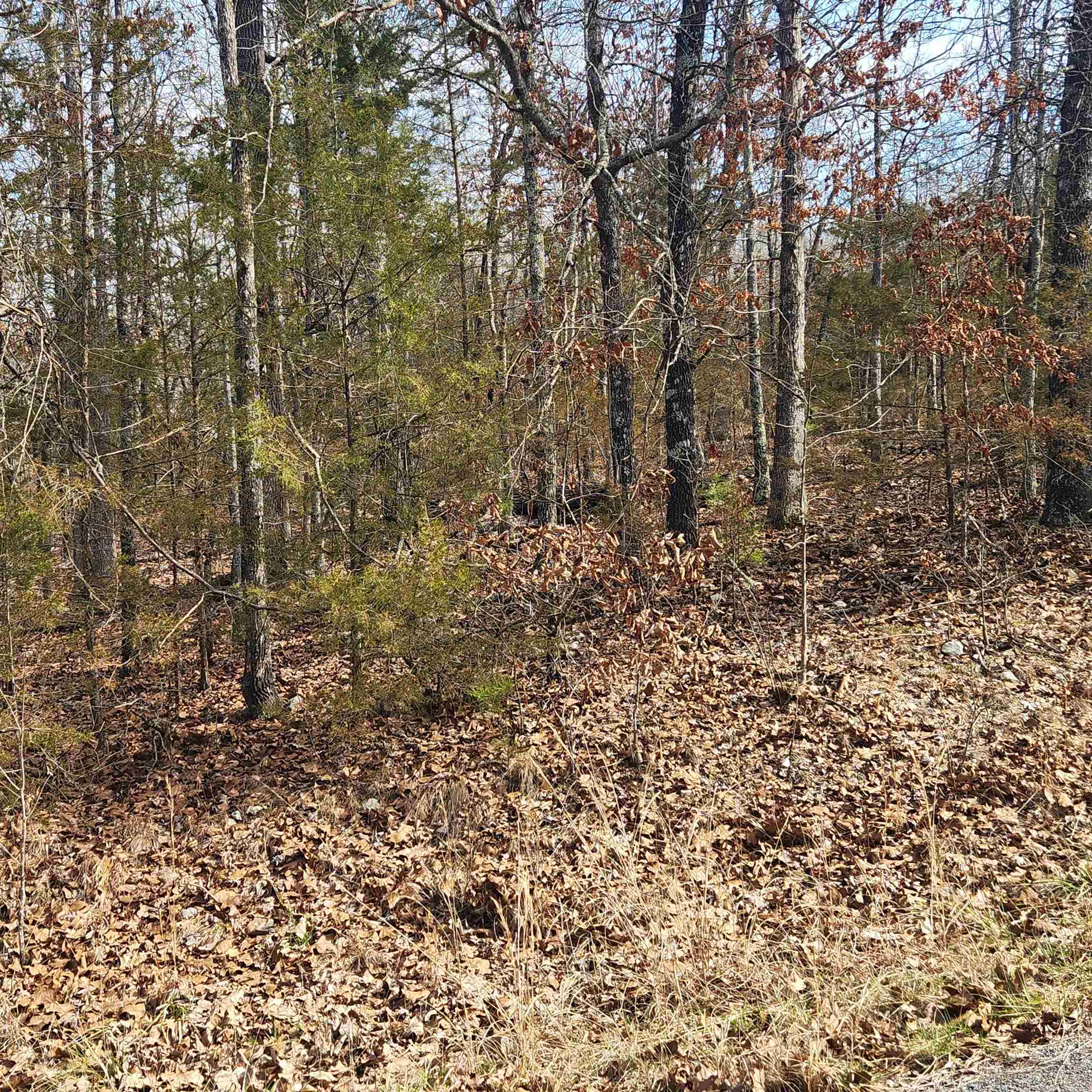 L19 B02 Awi Trail Property Photo 2