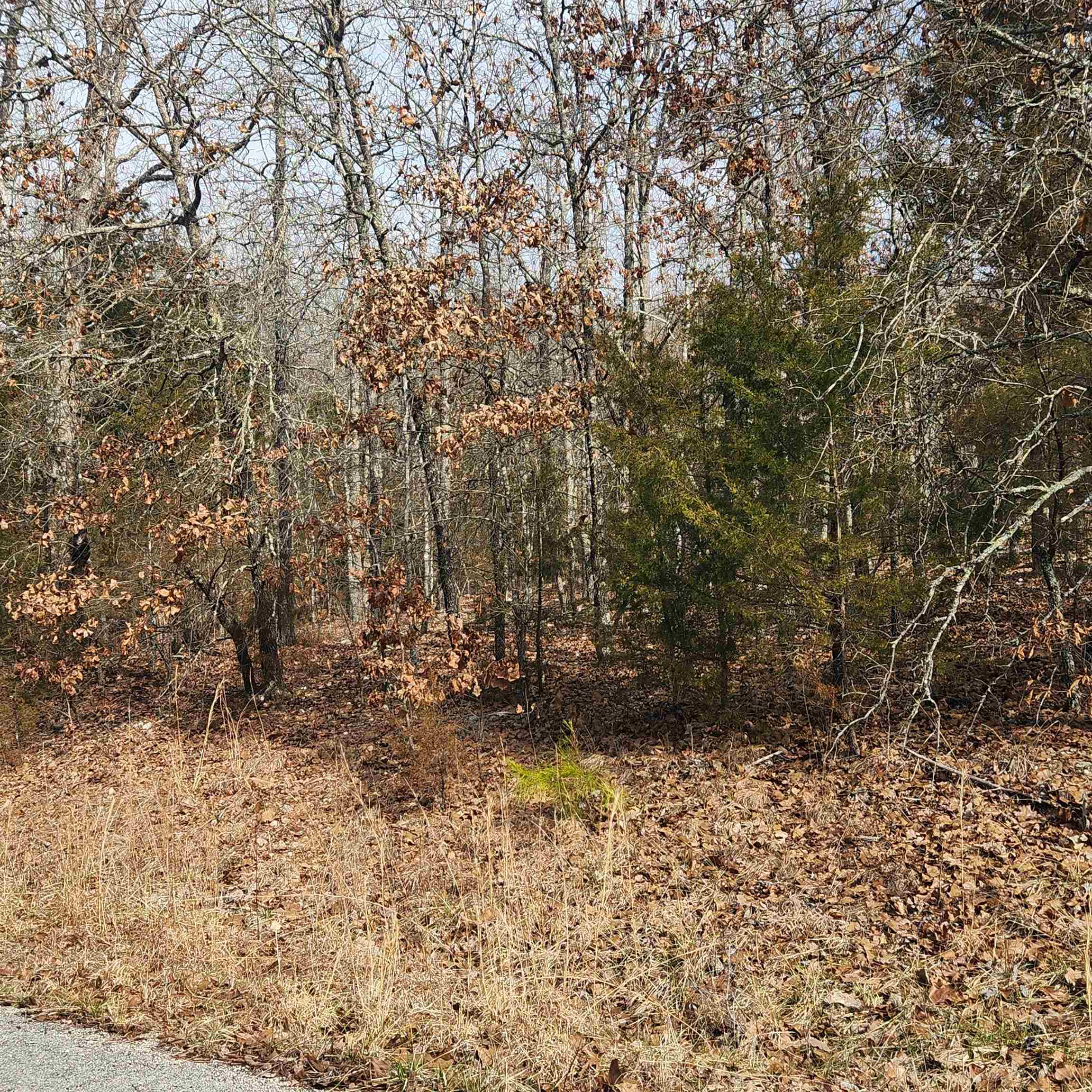 L19 B02 Awi Trail Property Photo 4