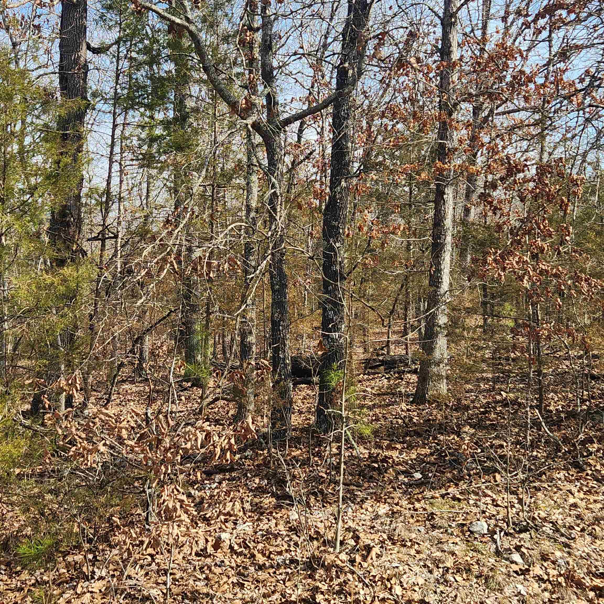 L19 B02 Awi Trail Property Photo 5