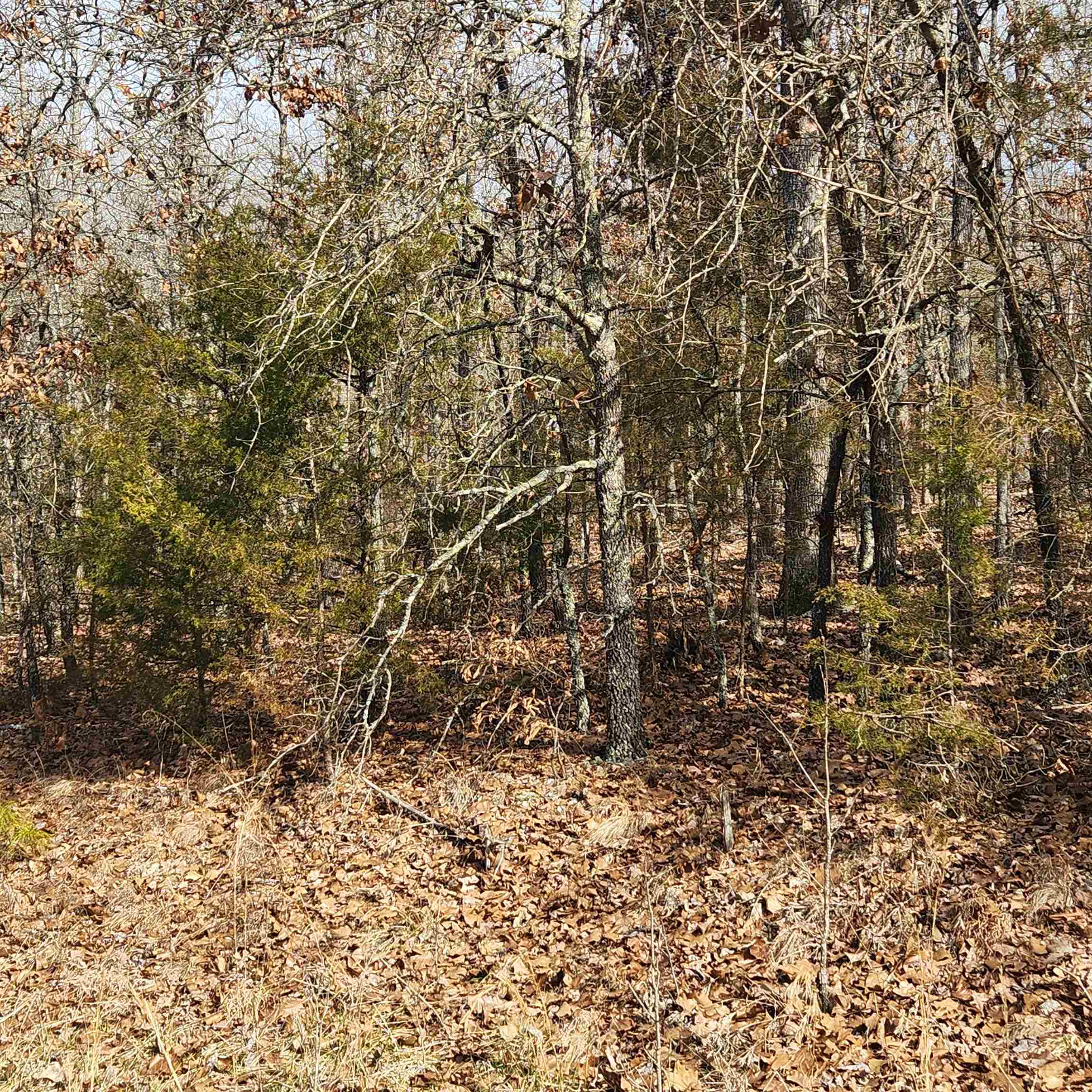 L19 B02 Awi Trail Property Photo 7