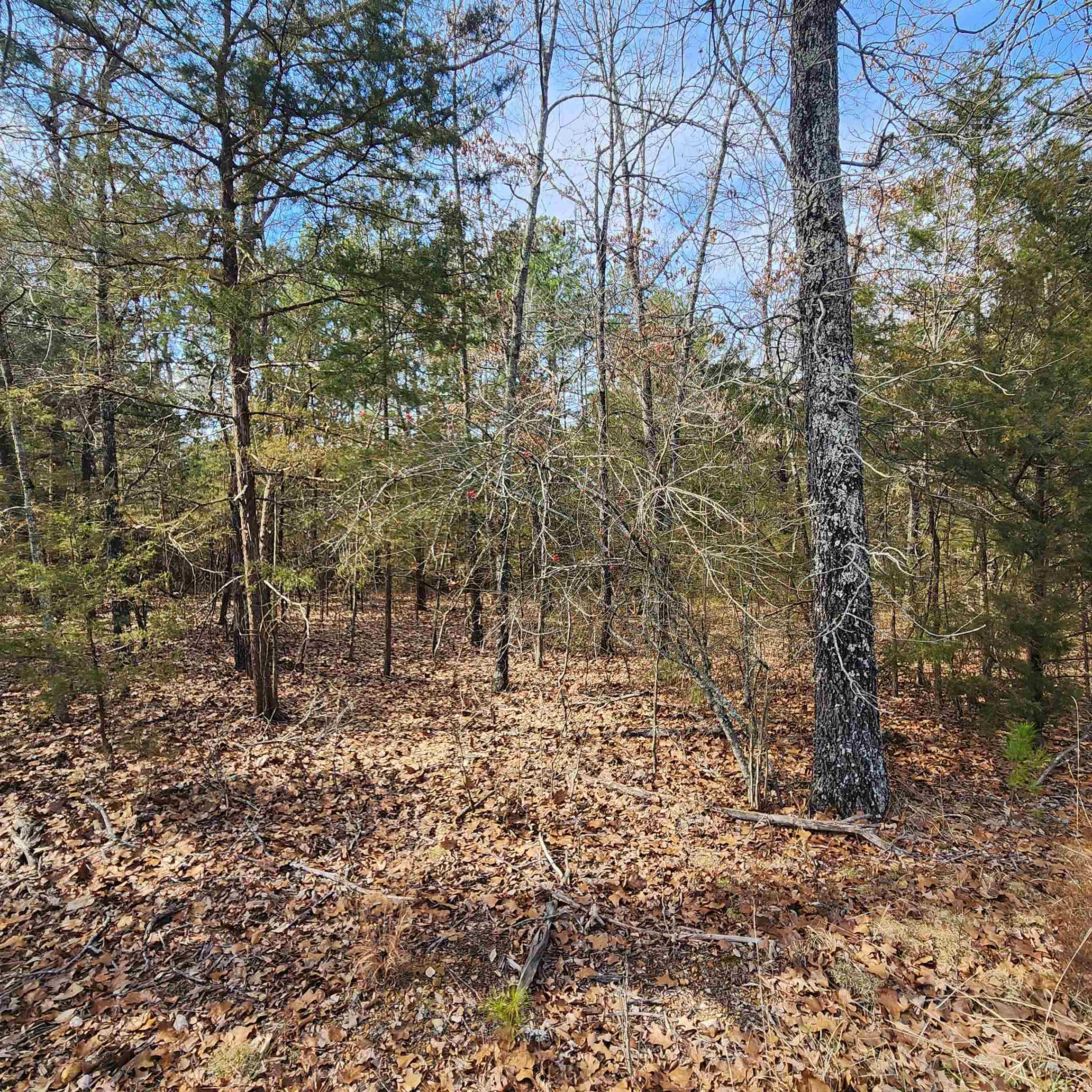 L19 B02 Awi Trail Property Photo 8