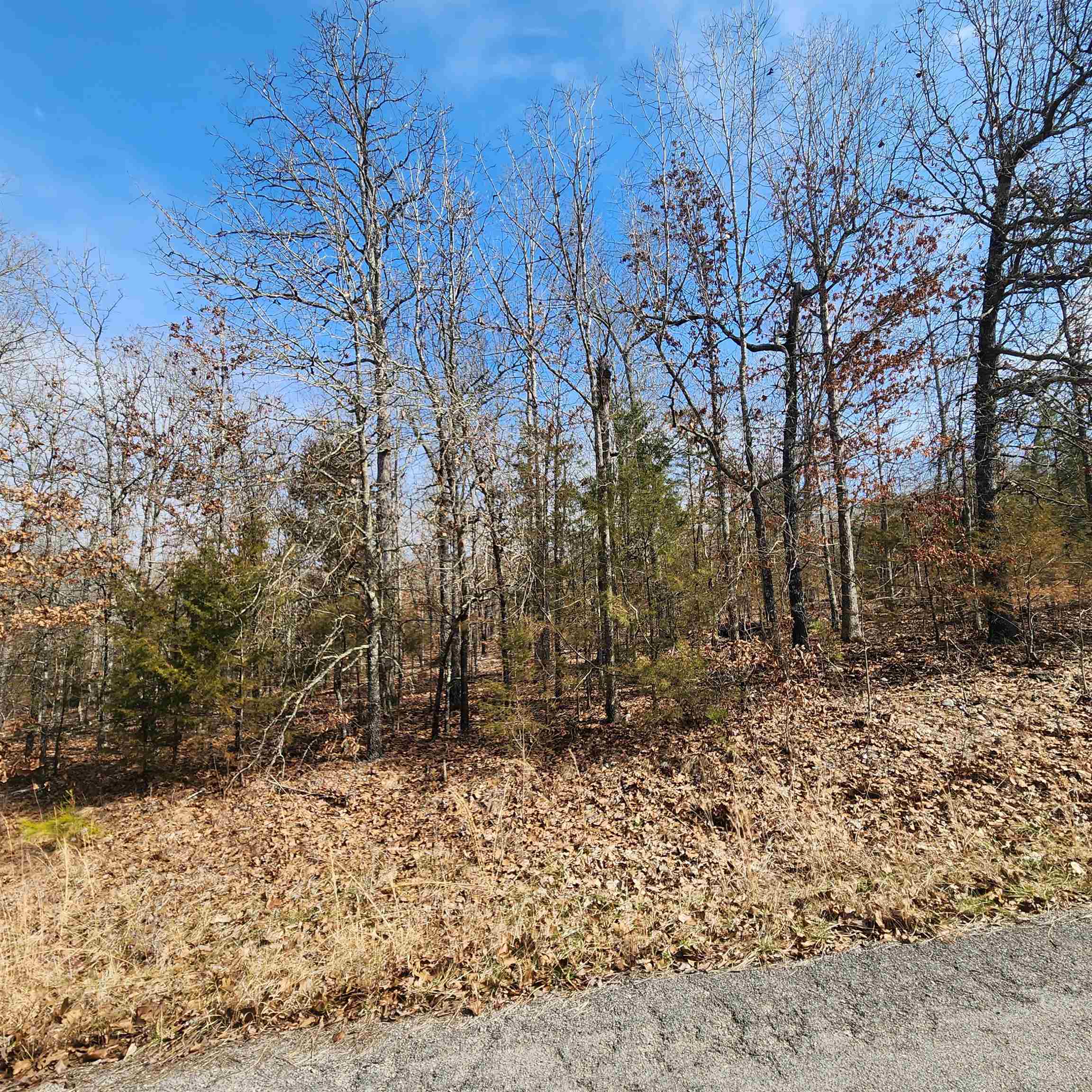 L19 B02 Awi Trail Property Photo 14