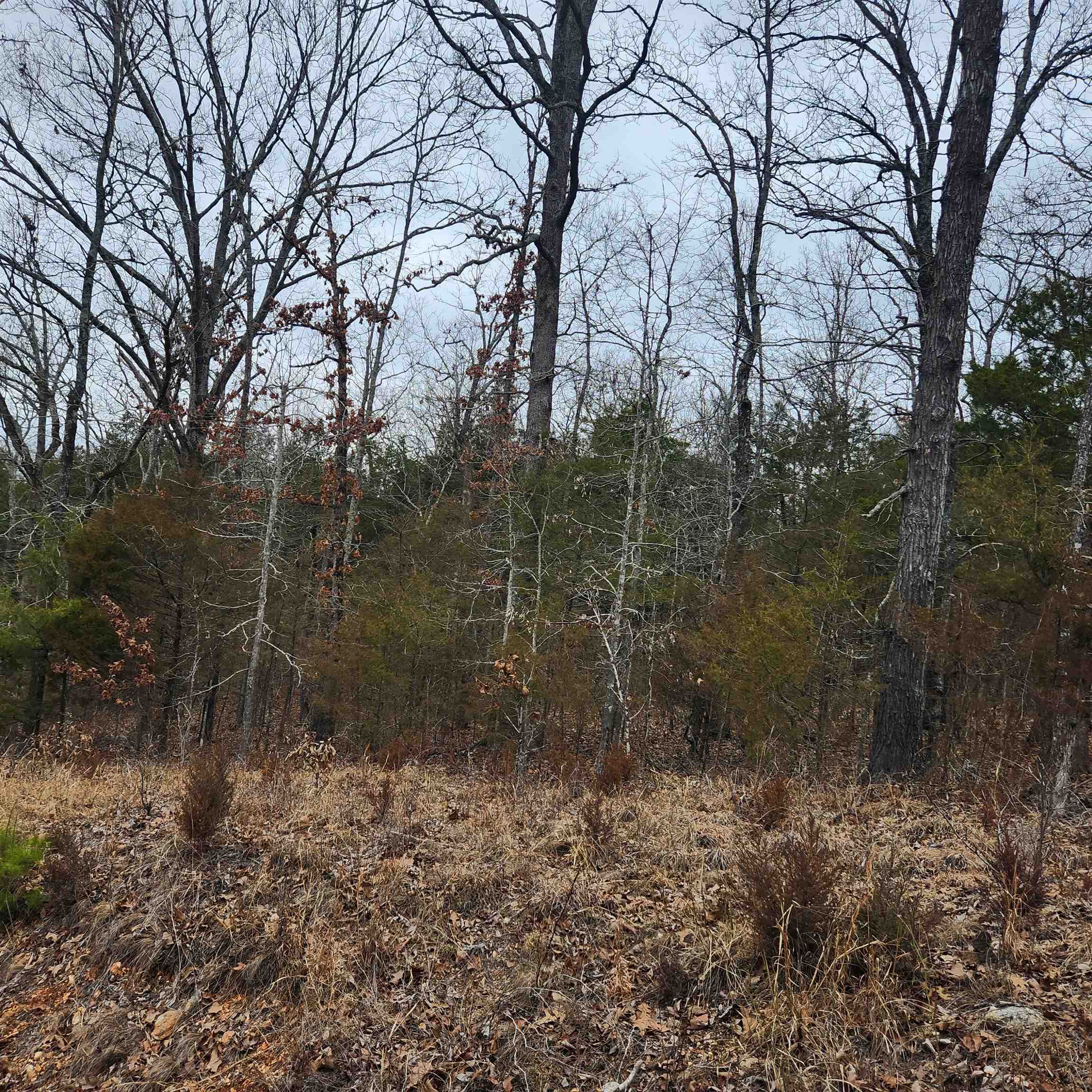 L10, B01 Hiawatha Drive Property Photo