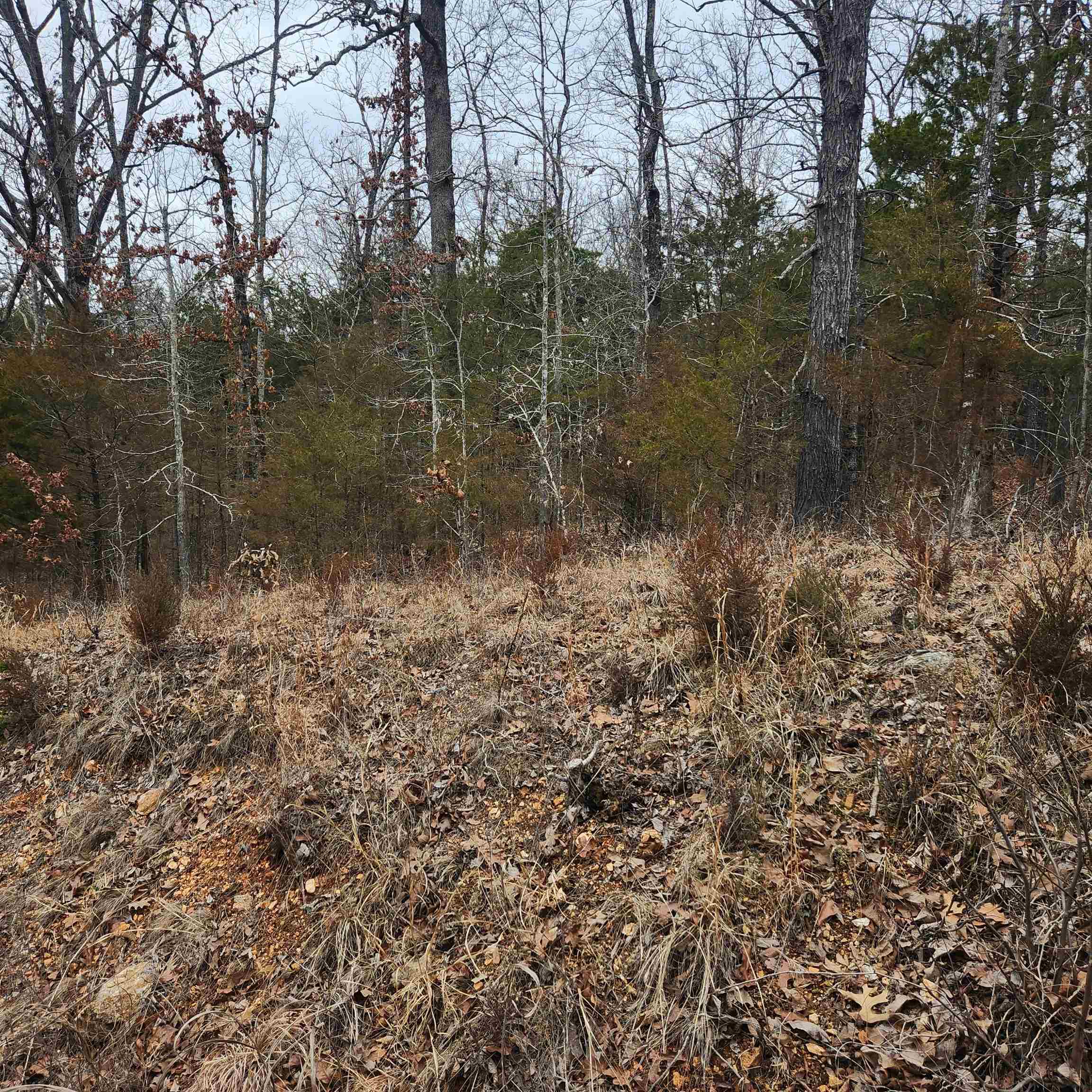 L10, B01 Hiawatha Drive Property Photo 8