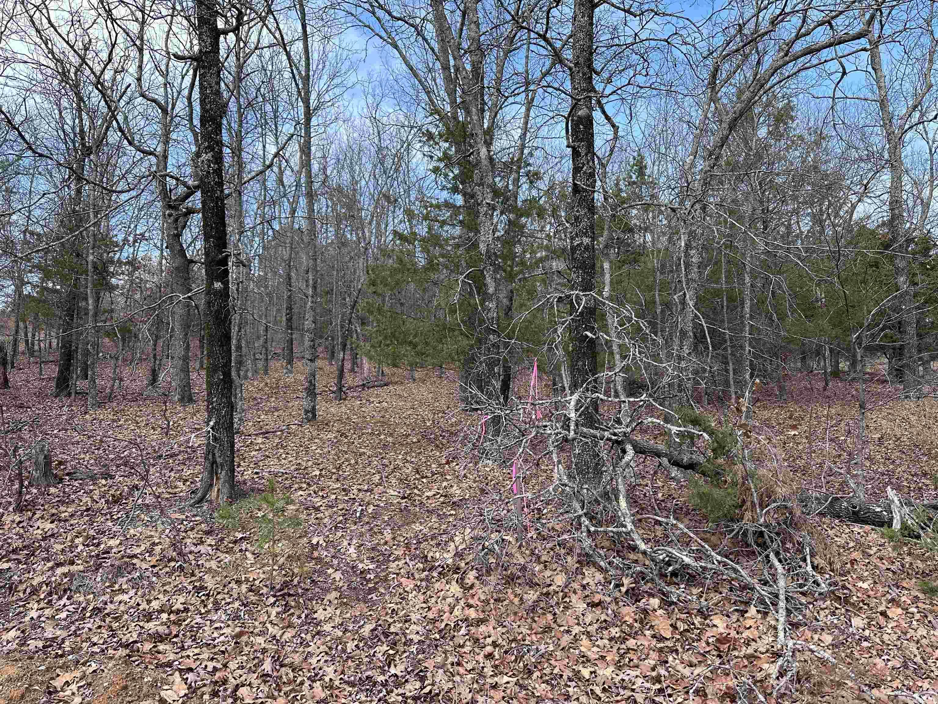Lot 33 S. Bluff Drive Property Photo