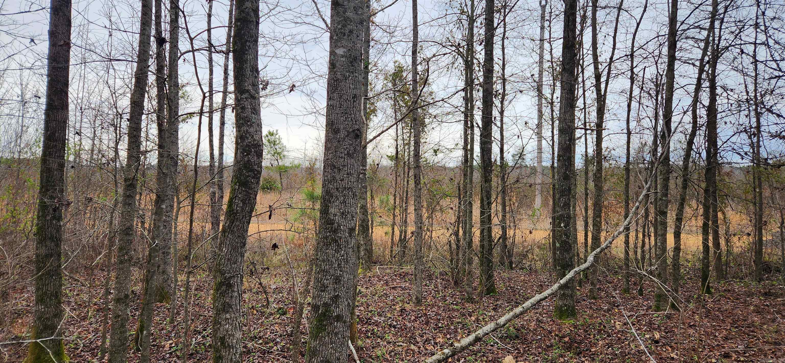 Cane Creek Acres Real Estate Listings Main Image