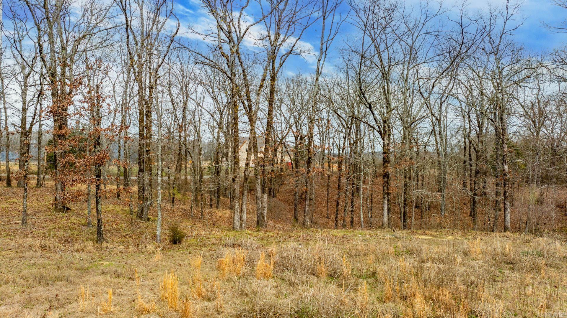Lot 18 Valley Ranch Drive Property Photo 9