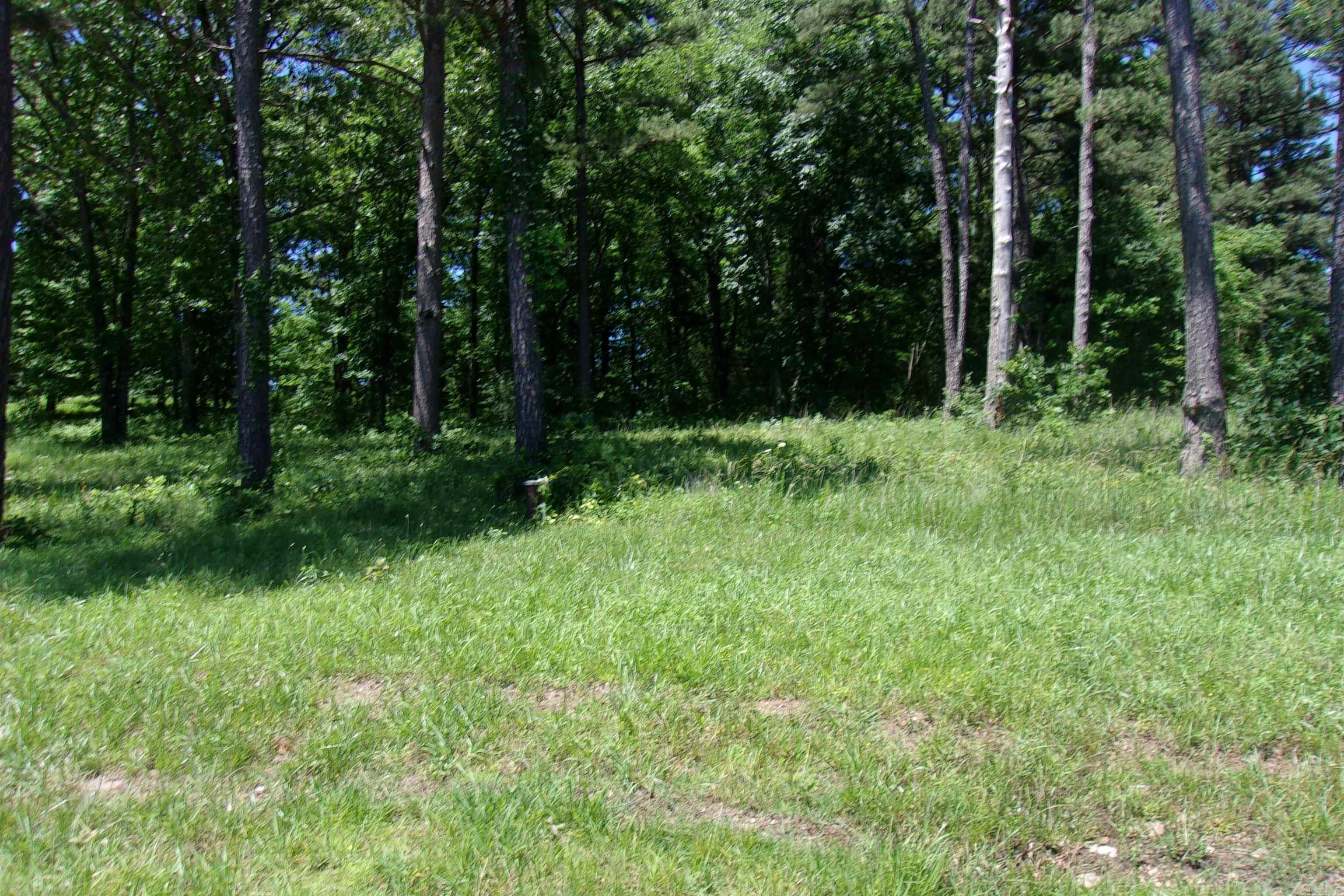 Lot 9 White Bluffs Court Property Photo 7