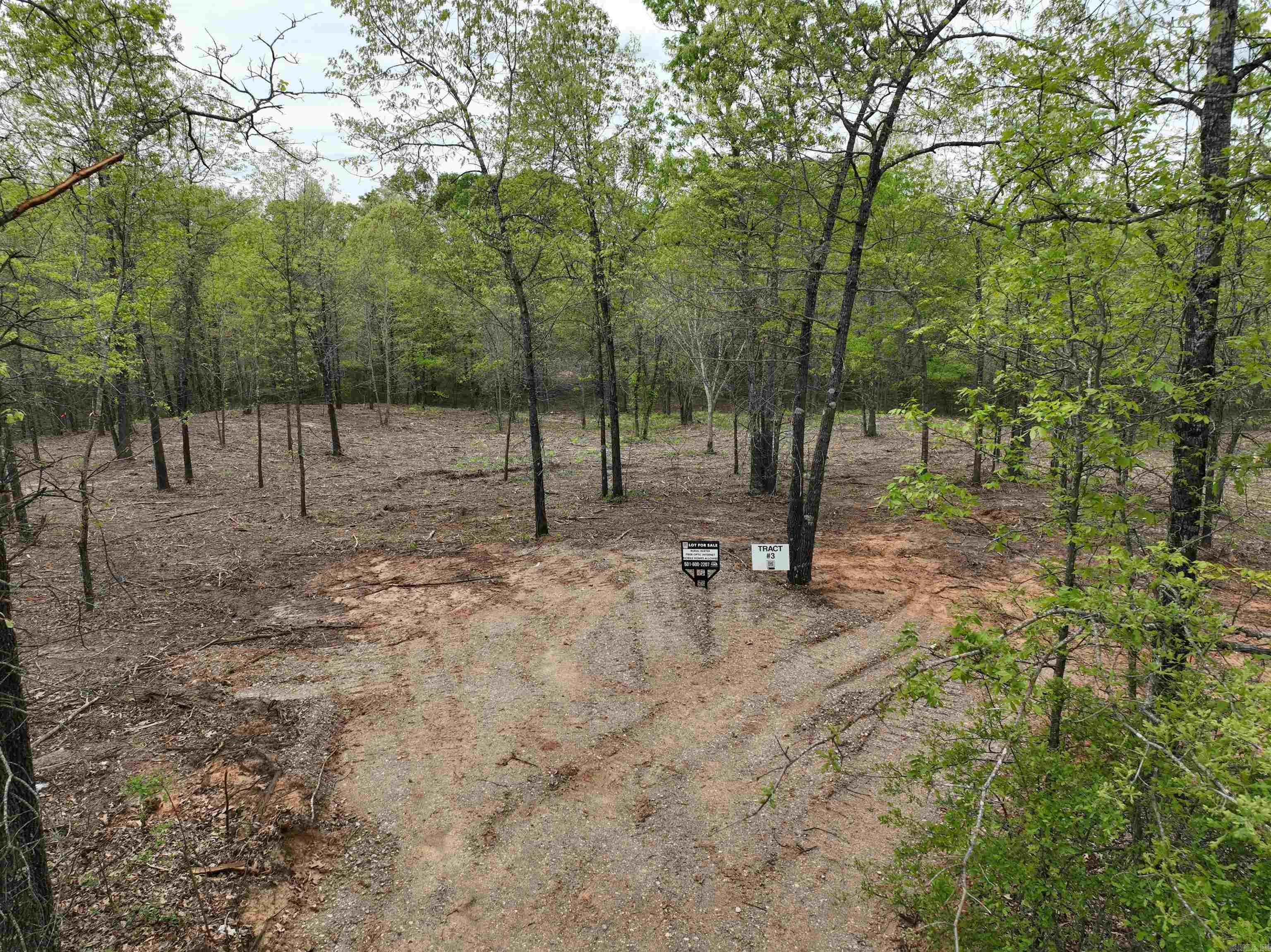 170 Mountain Pine Road Property Photo 2