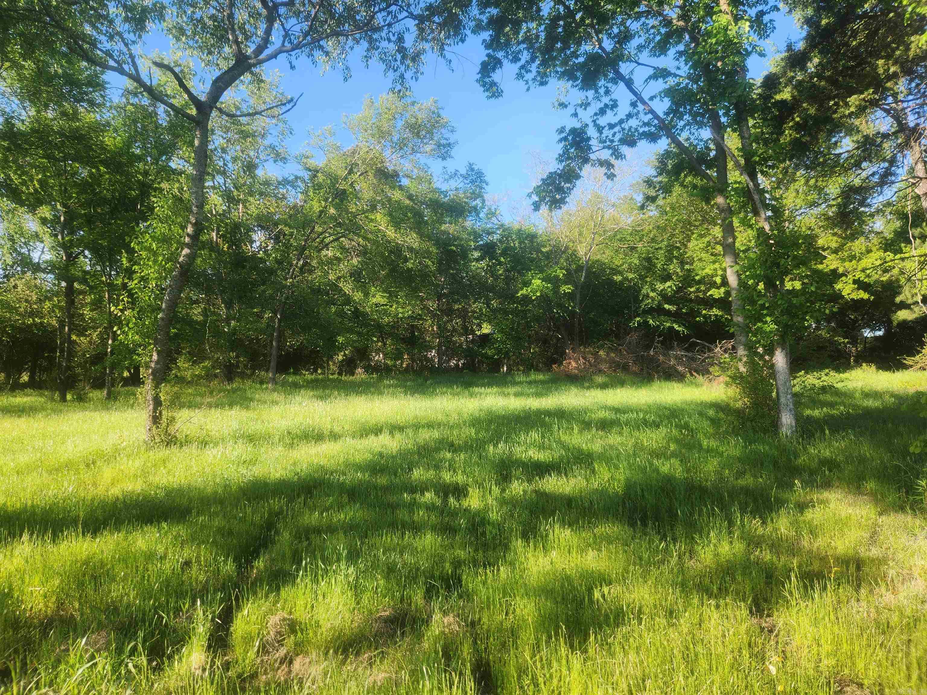 Tract 4 Castleberry Lane Property Photo 3