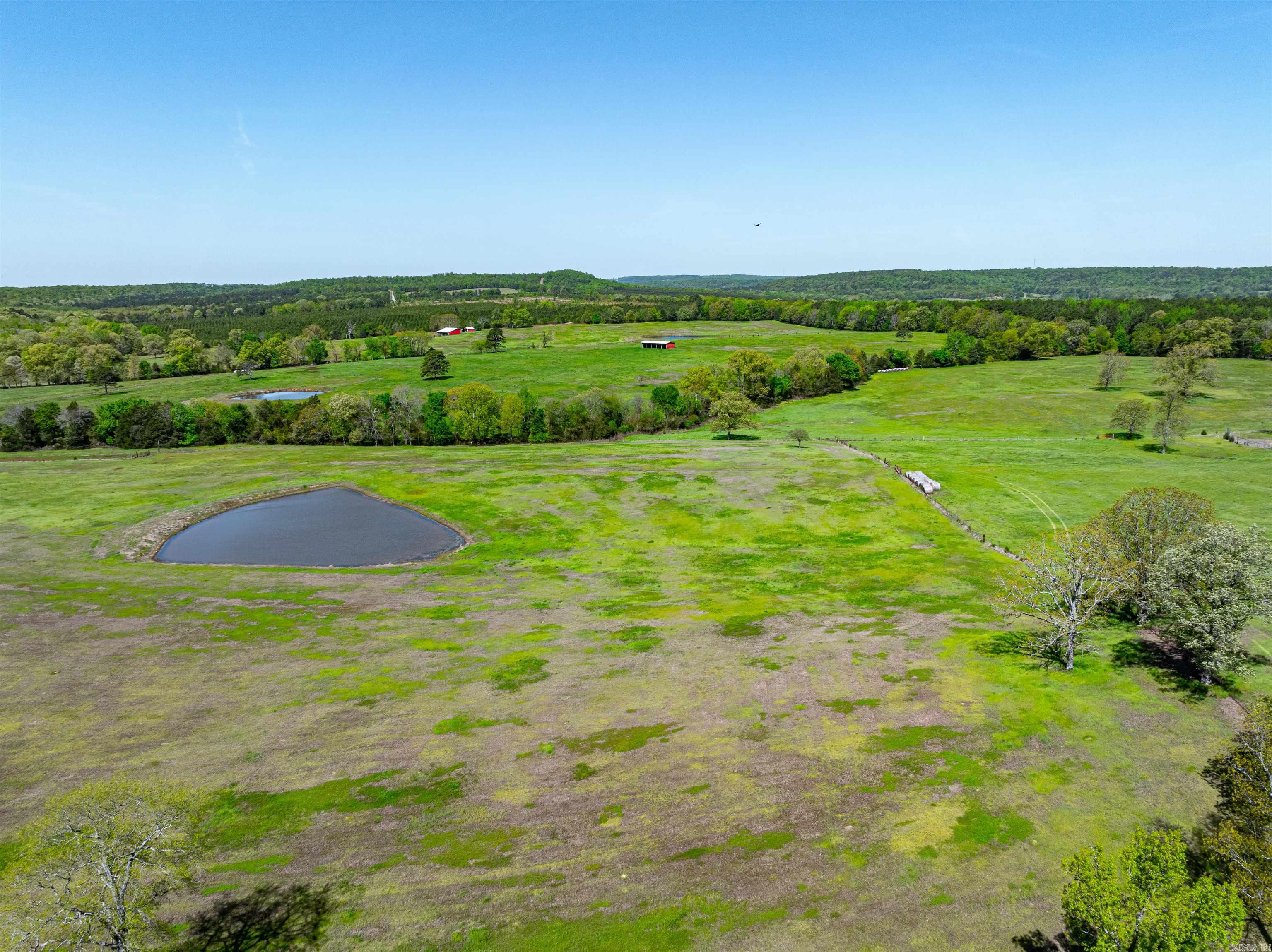 0 Charolais Ln Property Photo 6