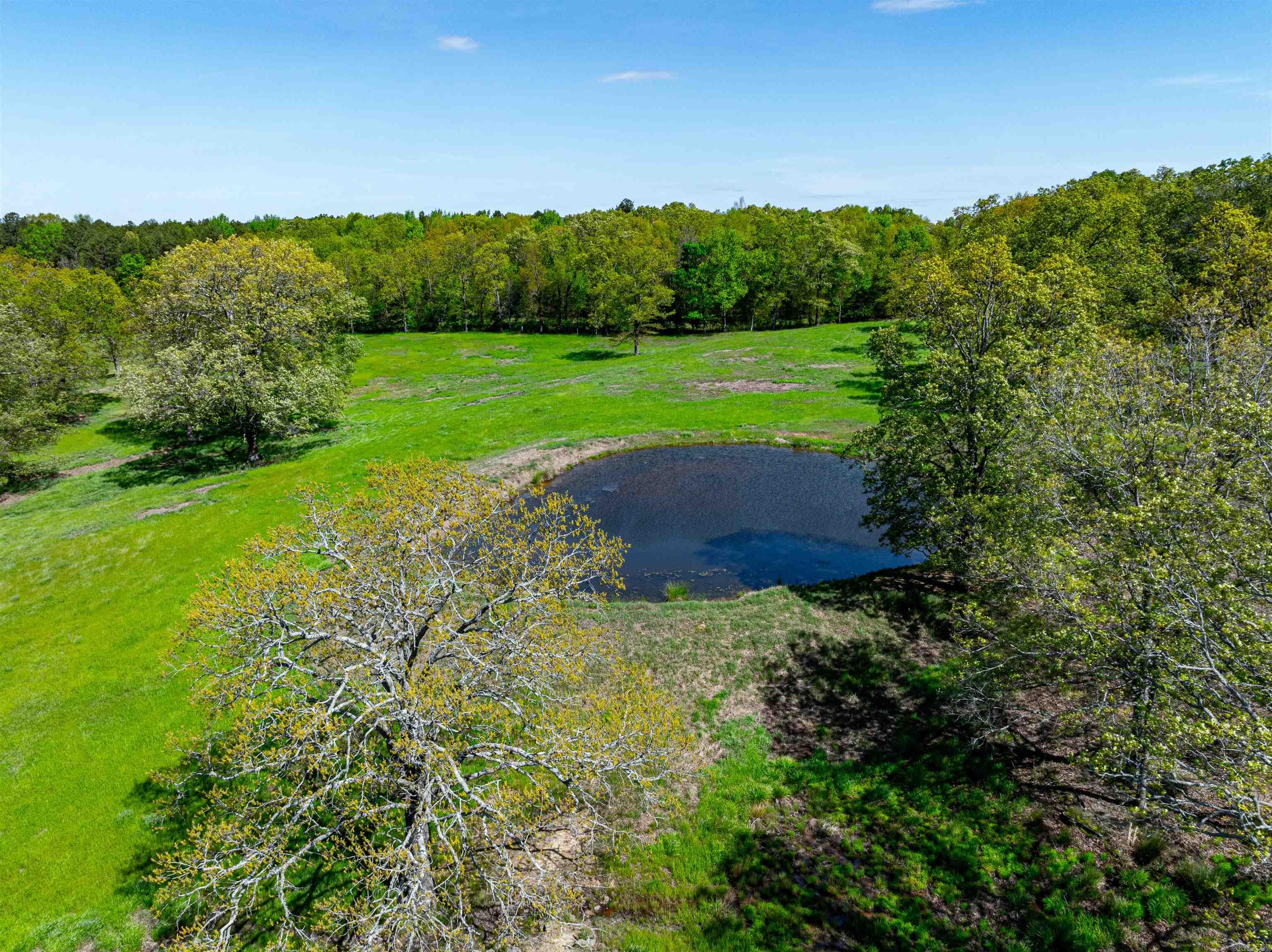 0 Charolais Ln Property Photo 8
