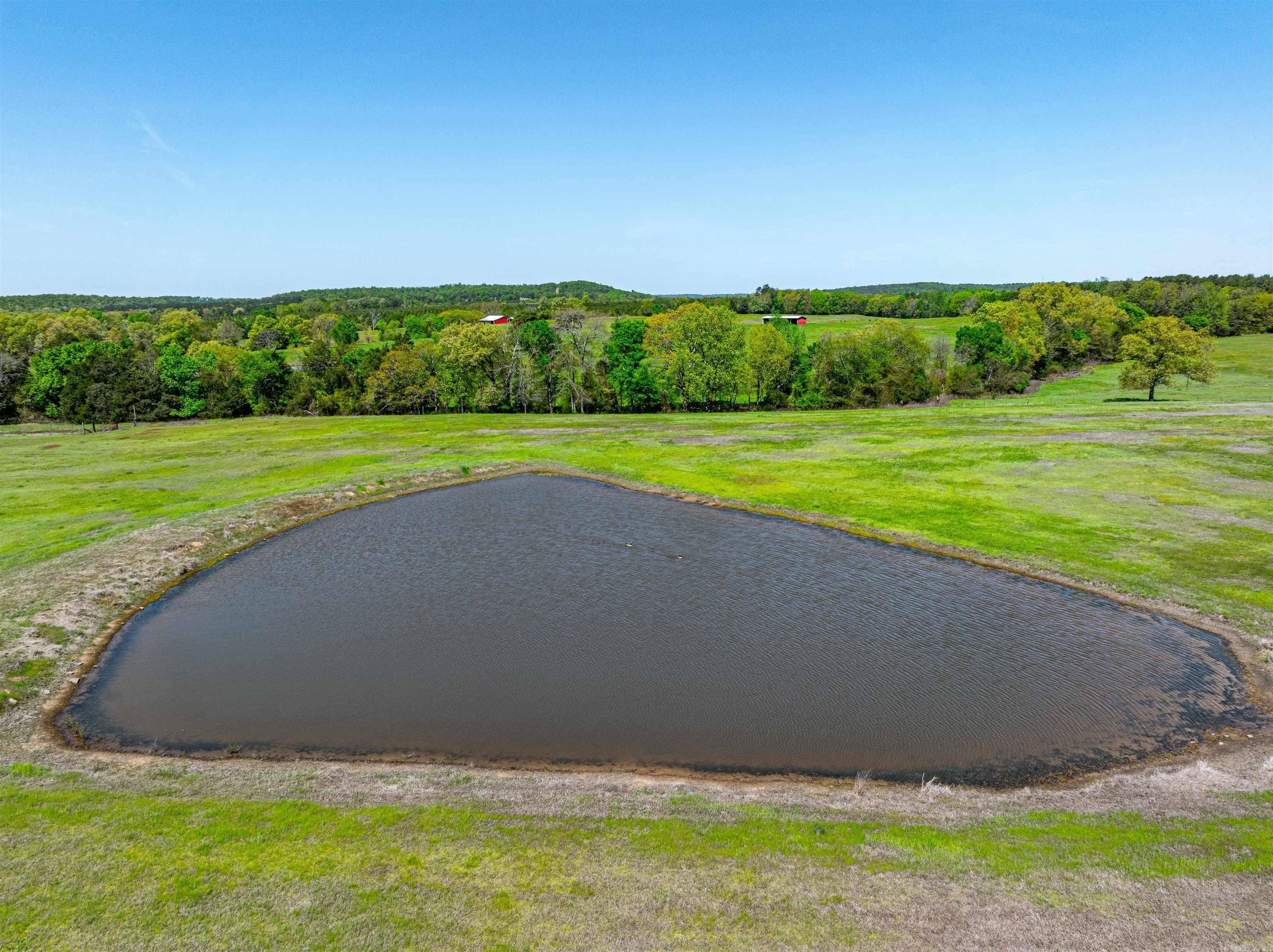 0 Charolais Ln Property Photo 13