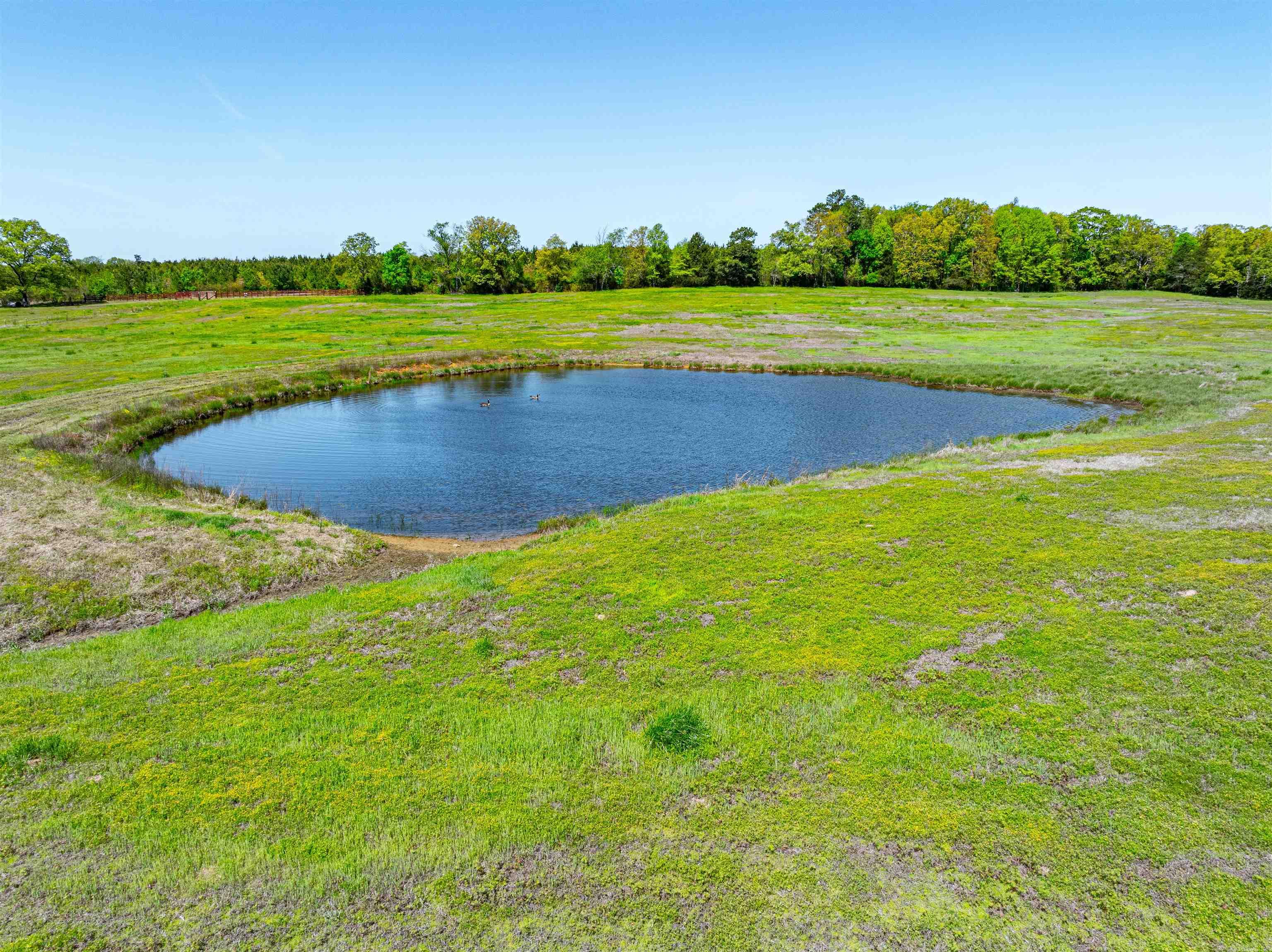 0 Charolais Ln Property Photo 18