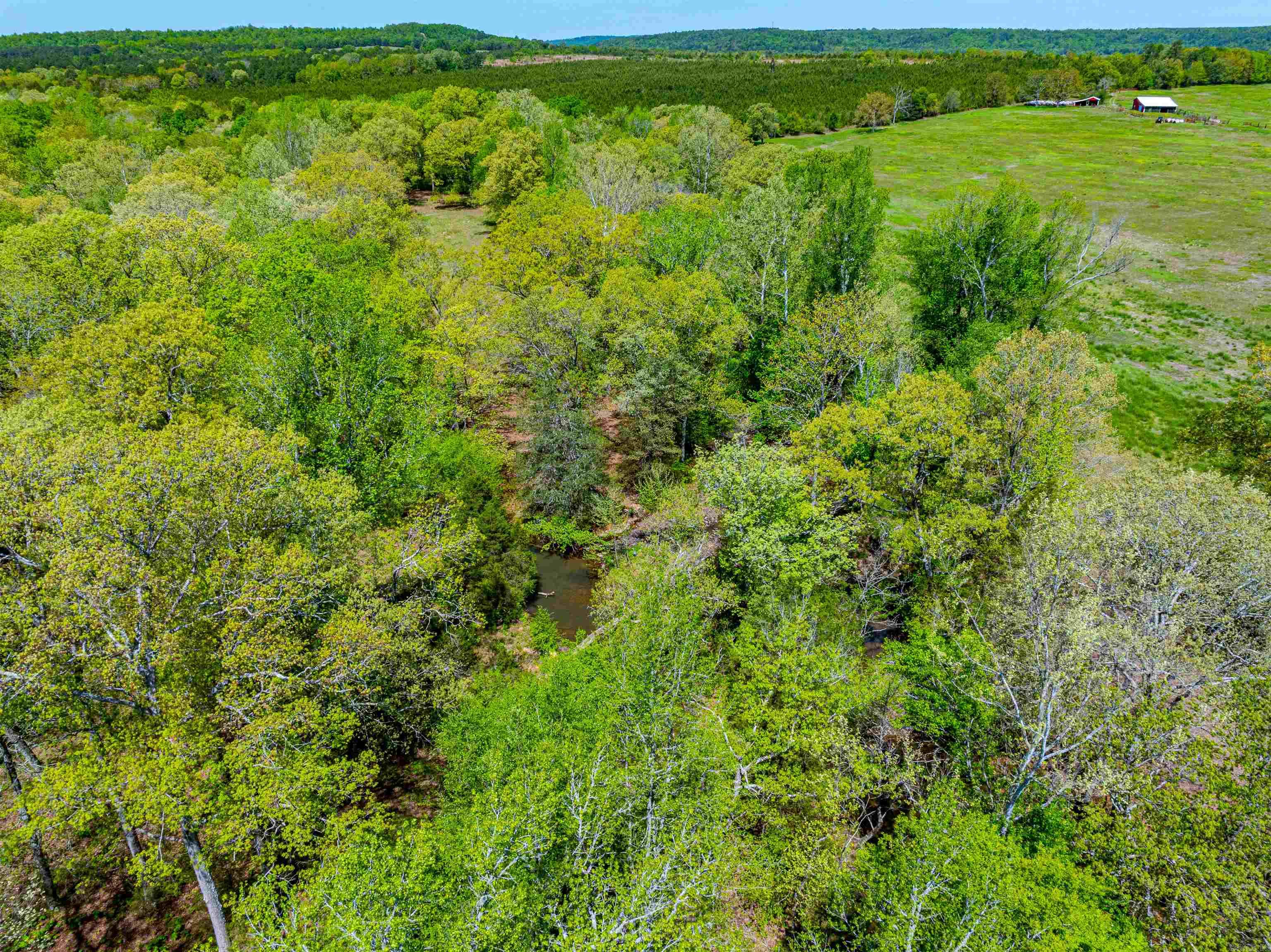 0 Charolais Ln Property Photo 32