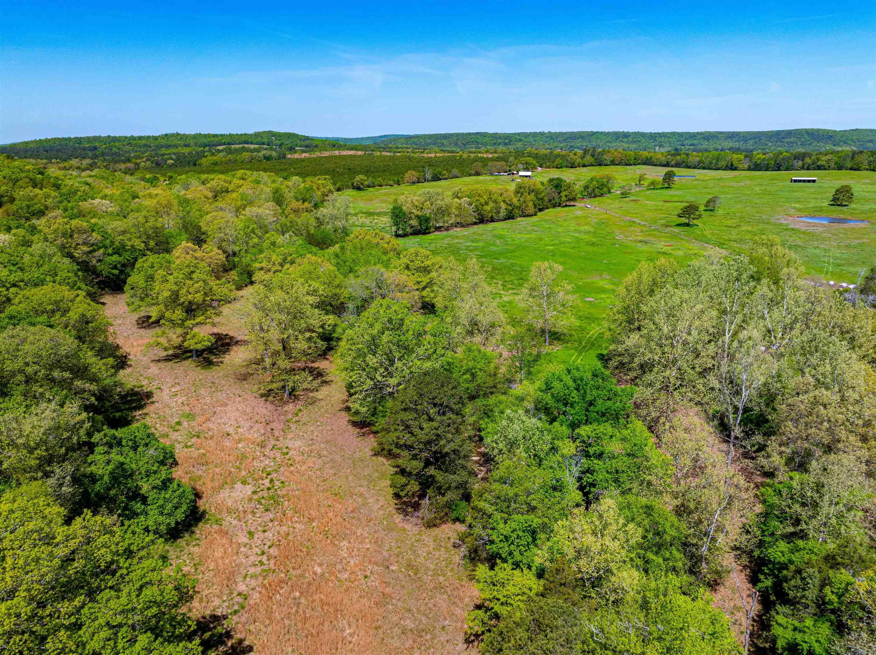 0 Charolais Ln Property Photo 33