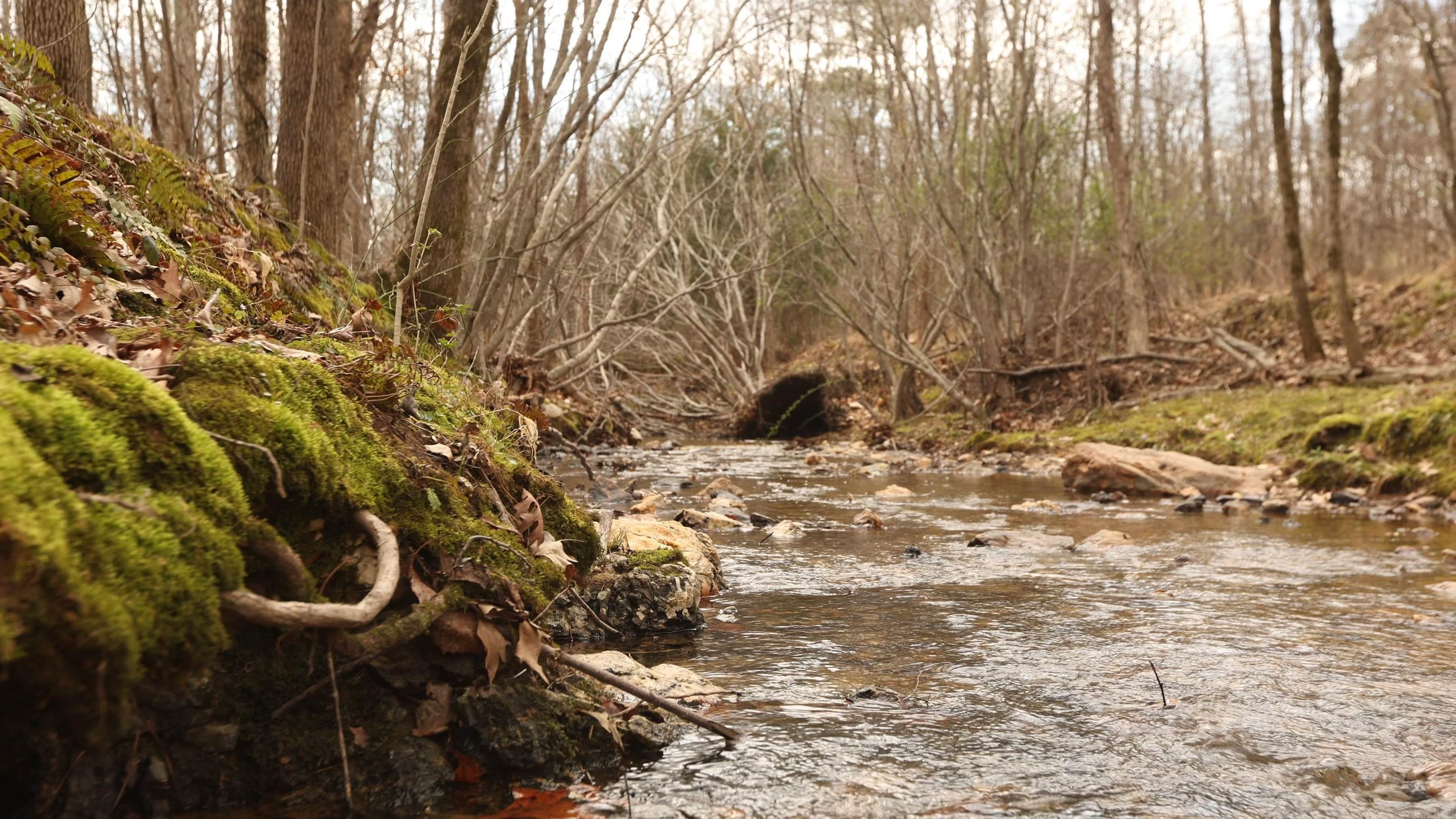 Lot 219 Cimarron Cove Property Photo 24