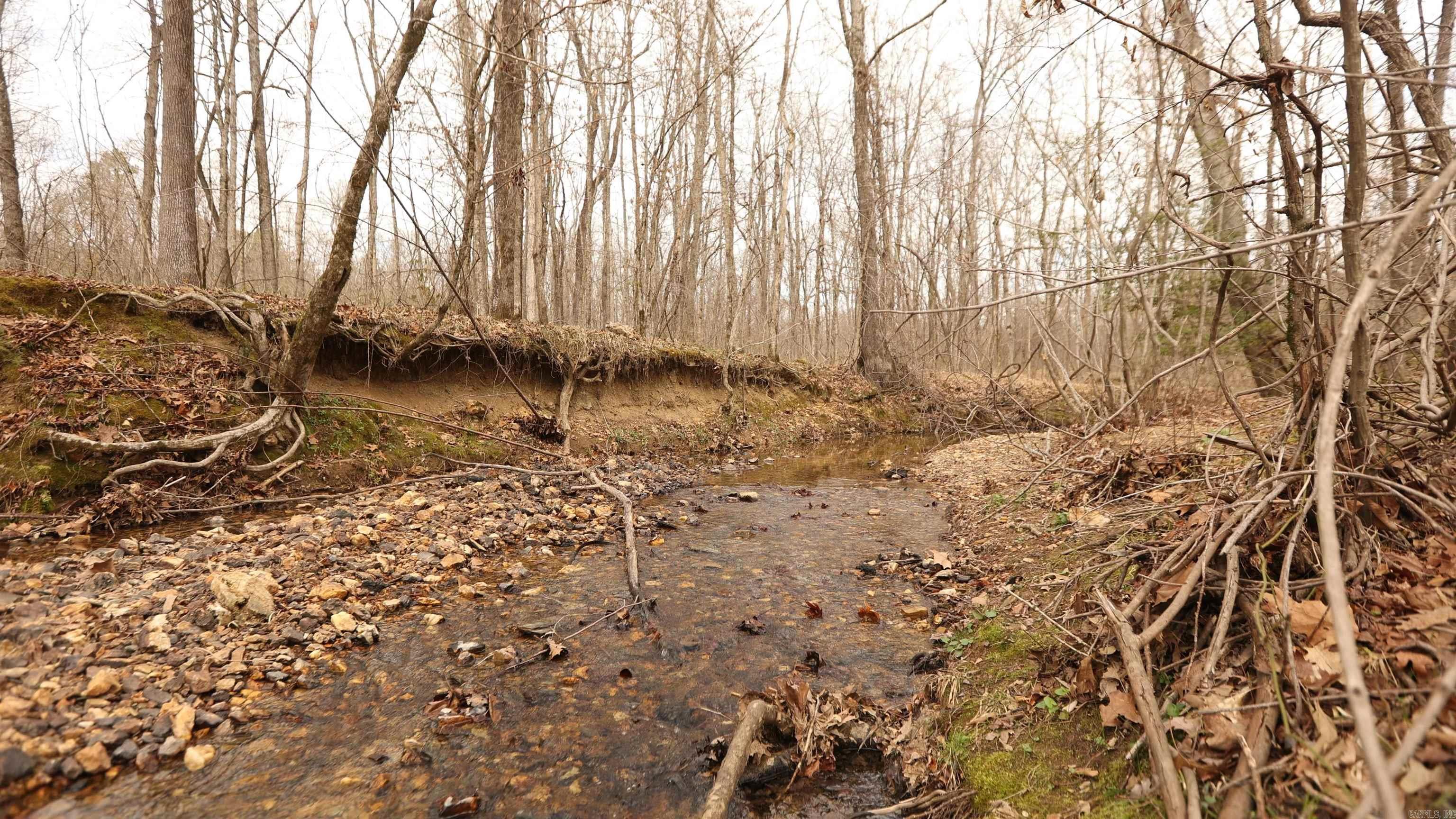 Lot 219 Cimarron Cove Property Photo 26