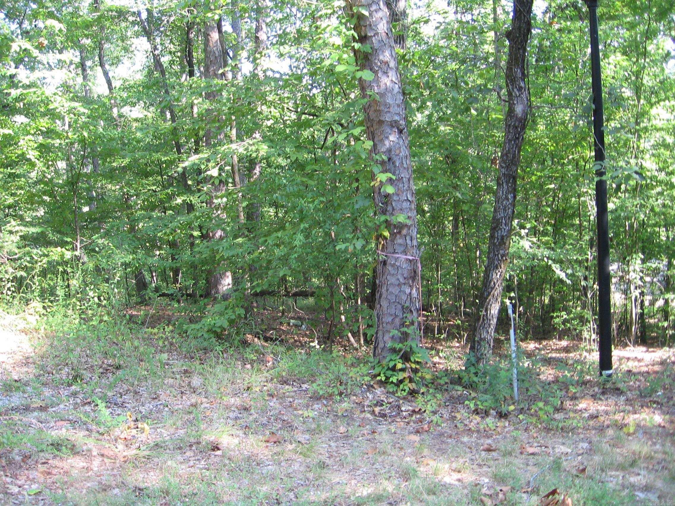66 Hallar Lane Property Photo