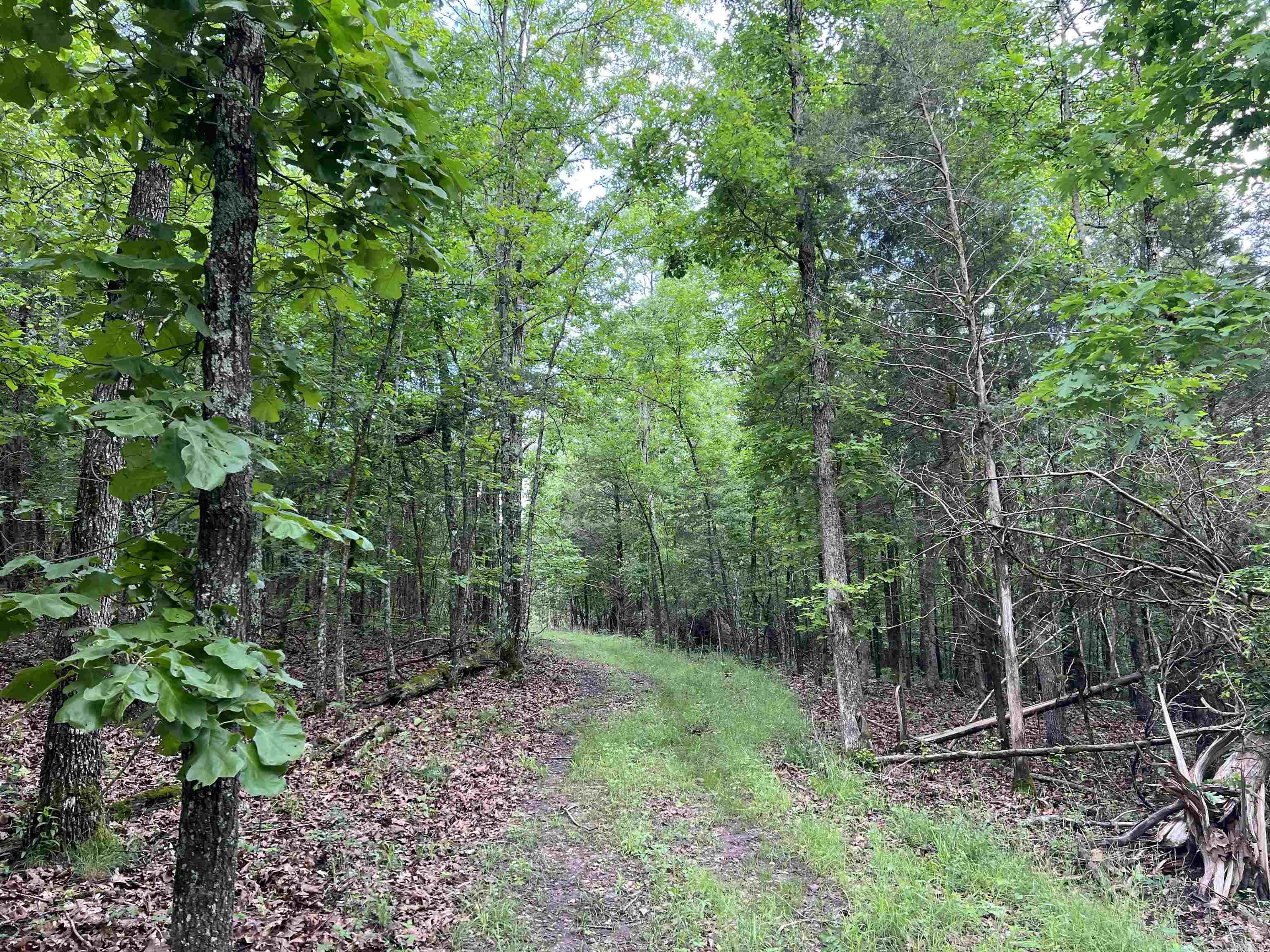 14.94 Acres On Meadow Creek Drive