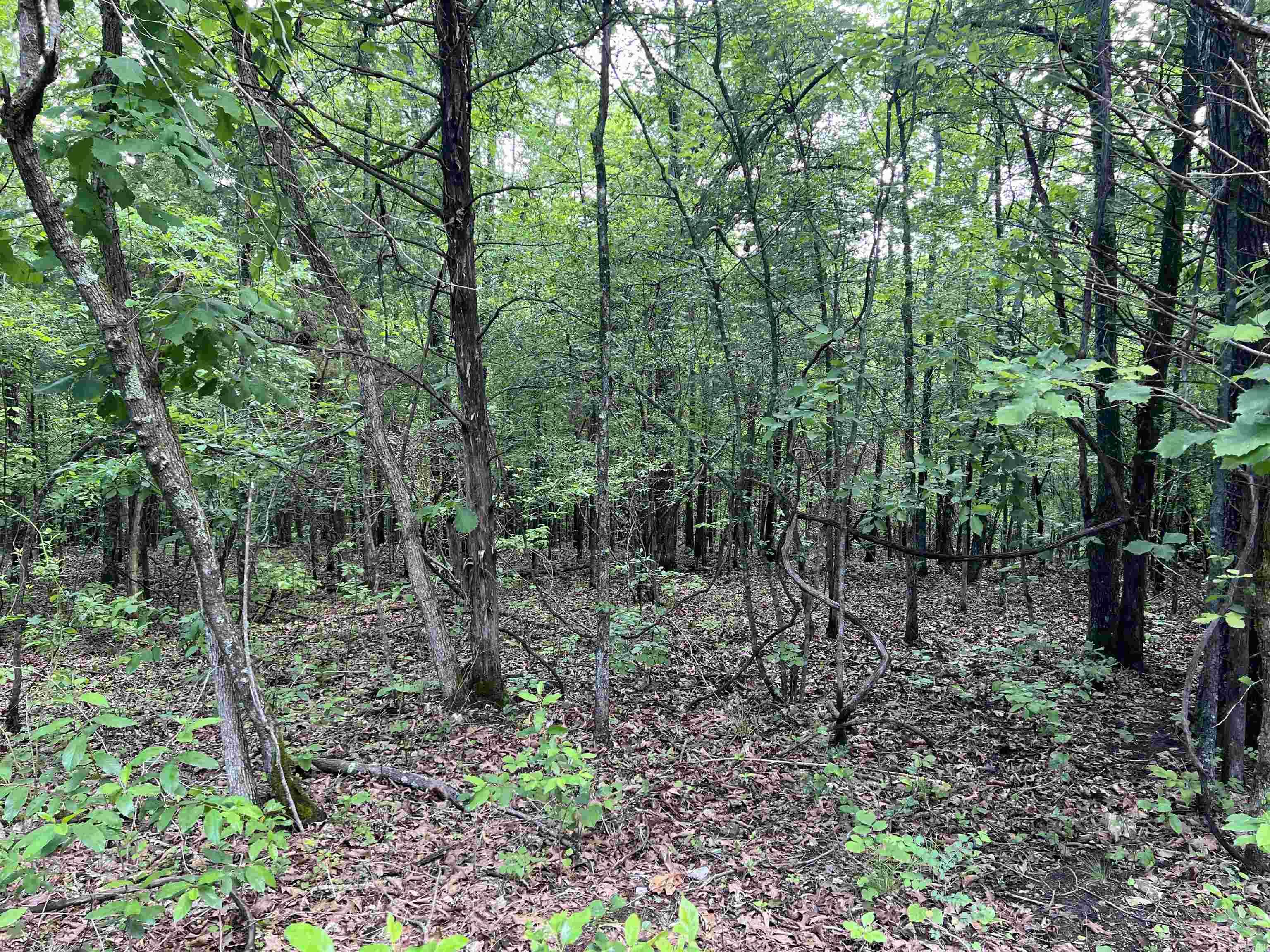 14.94 Acres On Meadow Creek Drive Property Photo 4