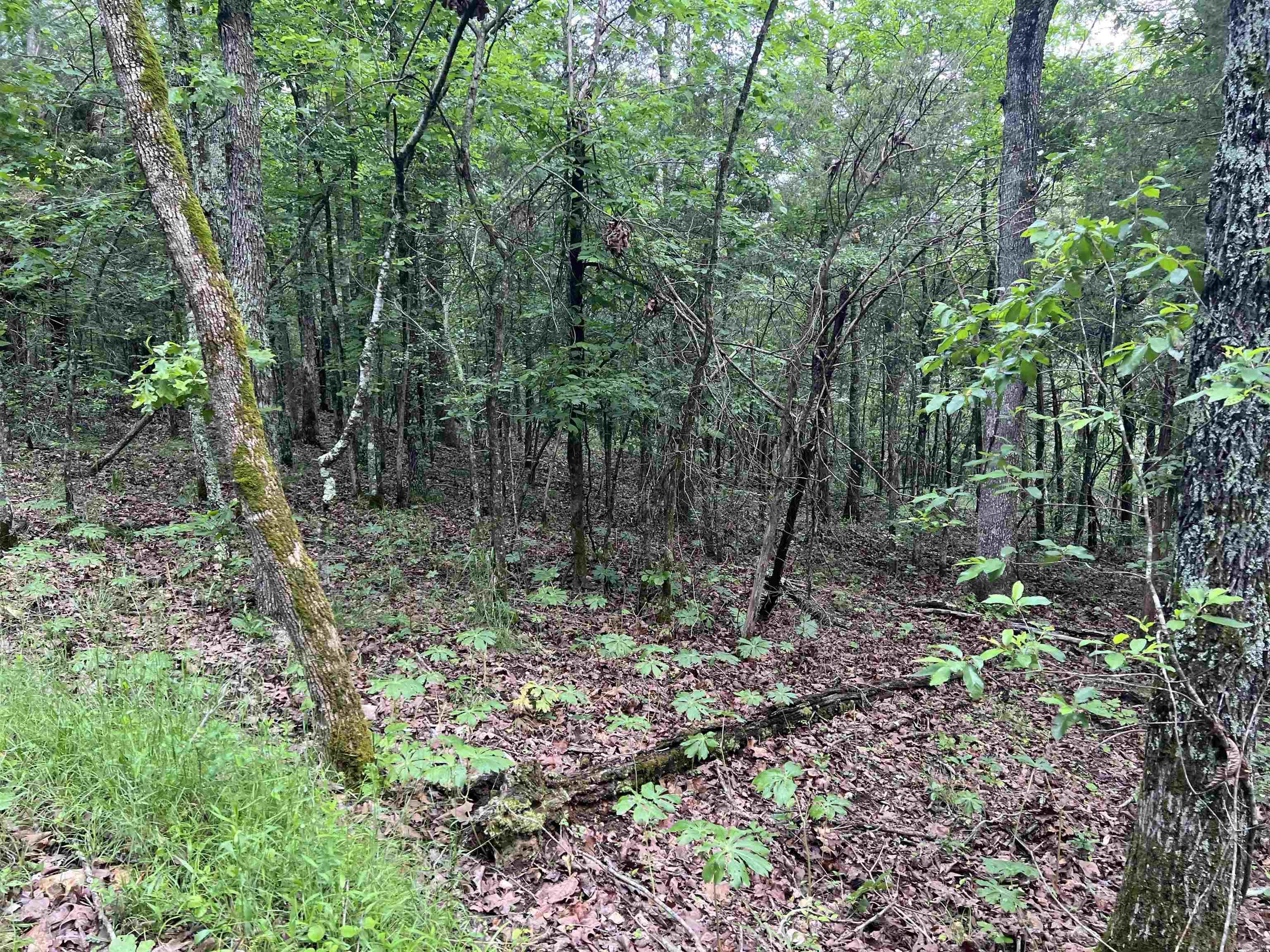 14.94 Acres On Meadow Creek Drive Property Photo 5