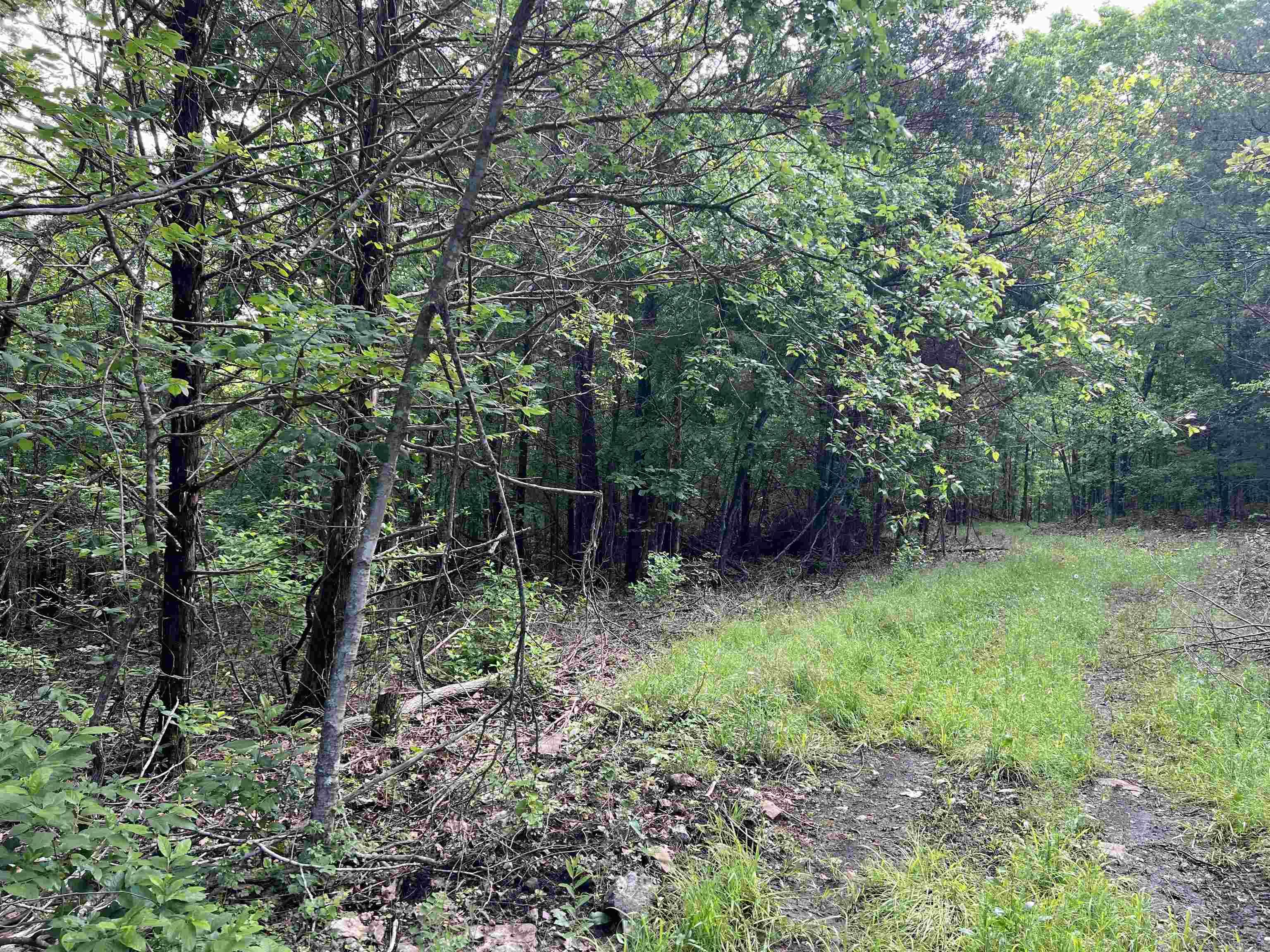 14.94 Acres On Meadow Creek Drive Property Photo 6