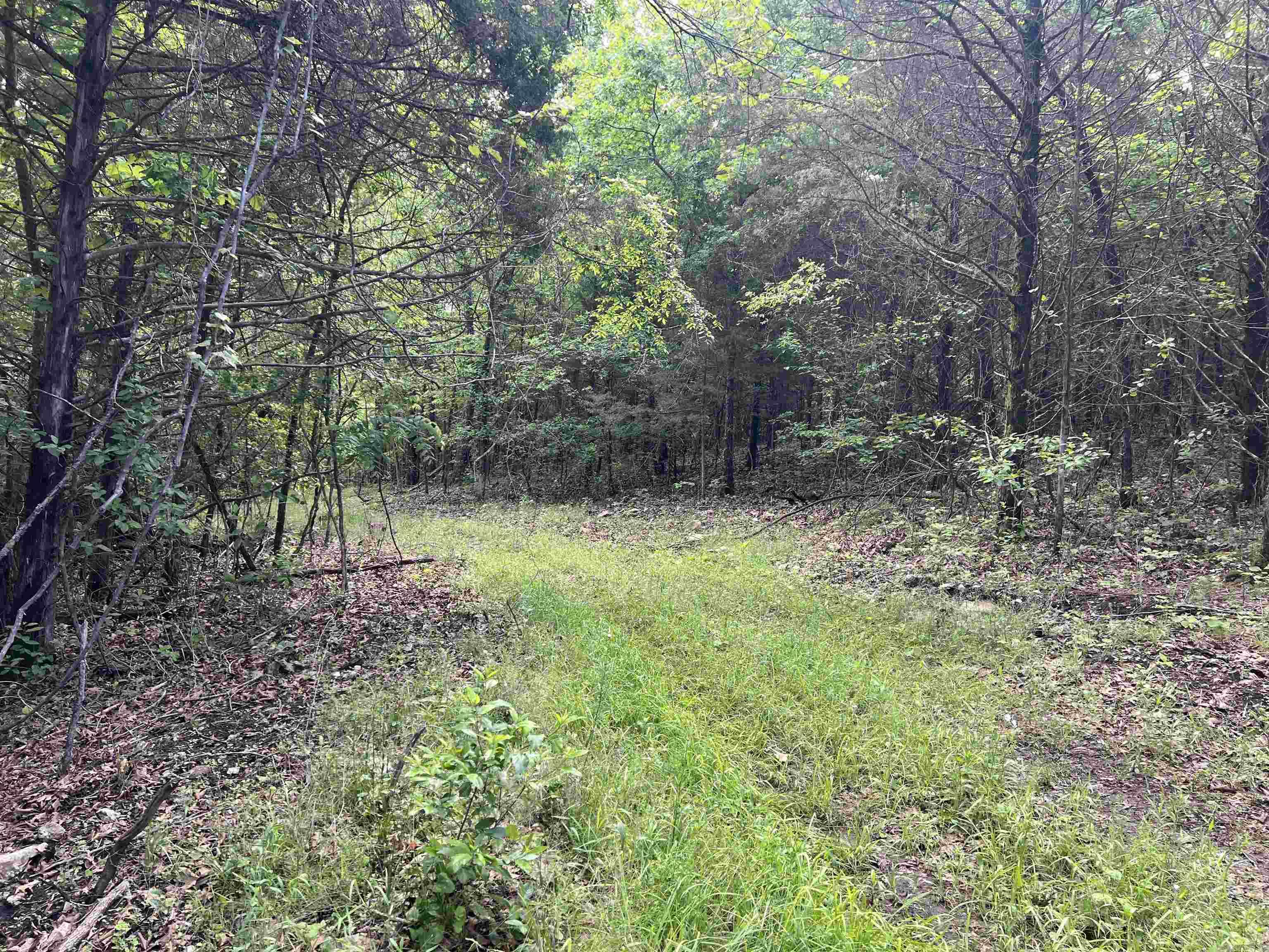 14.94 Acres On Meadow Creek Drive Property Photo 7