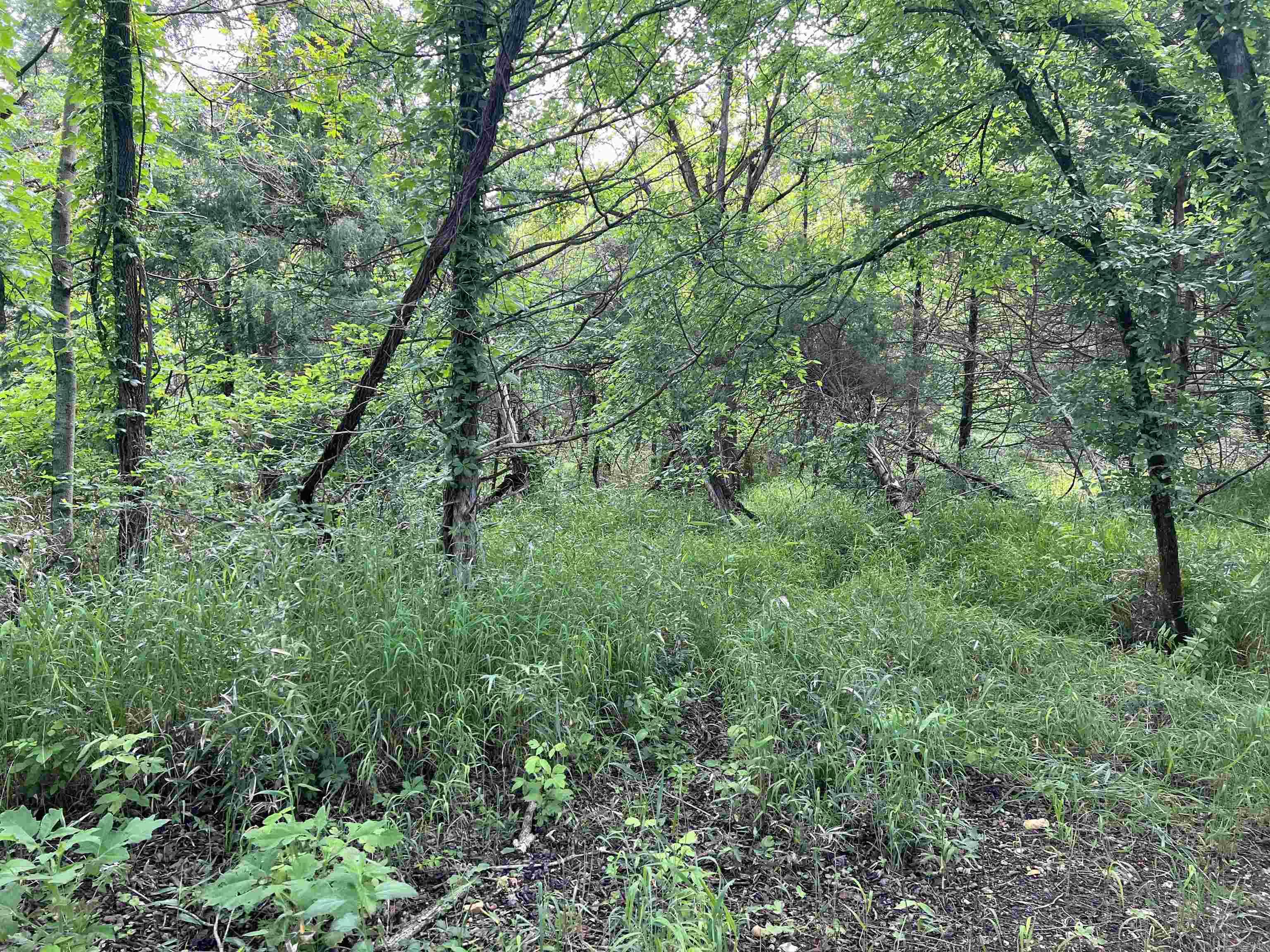 14.94 Acres On Meadow Creek Drive Property Photo 8