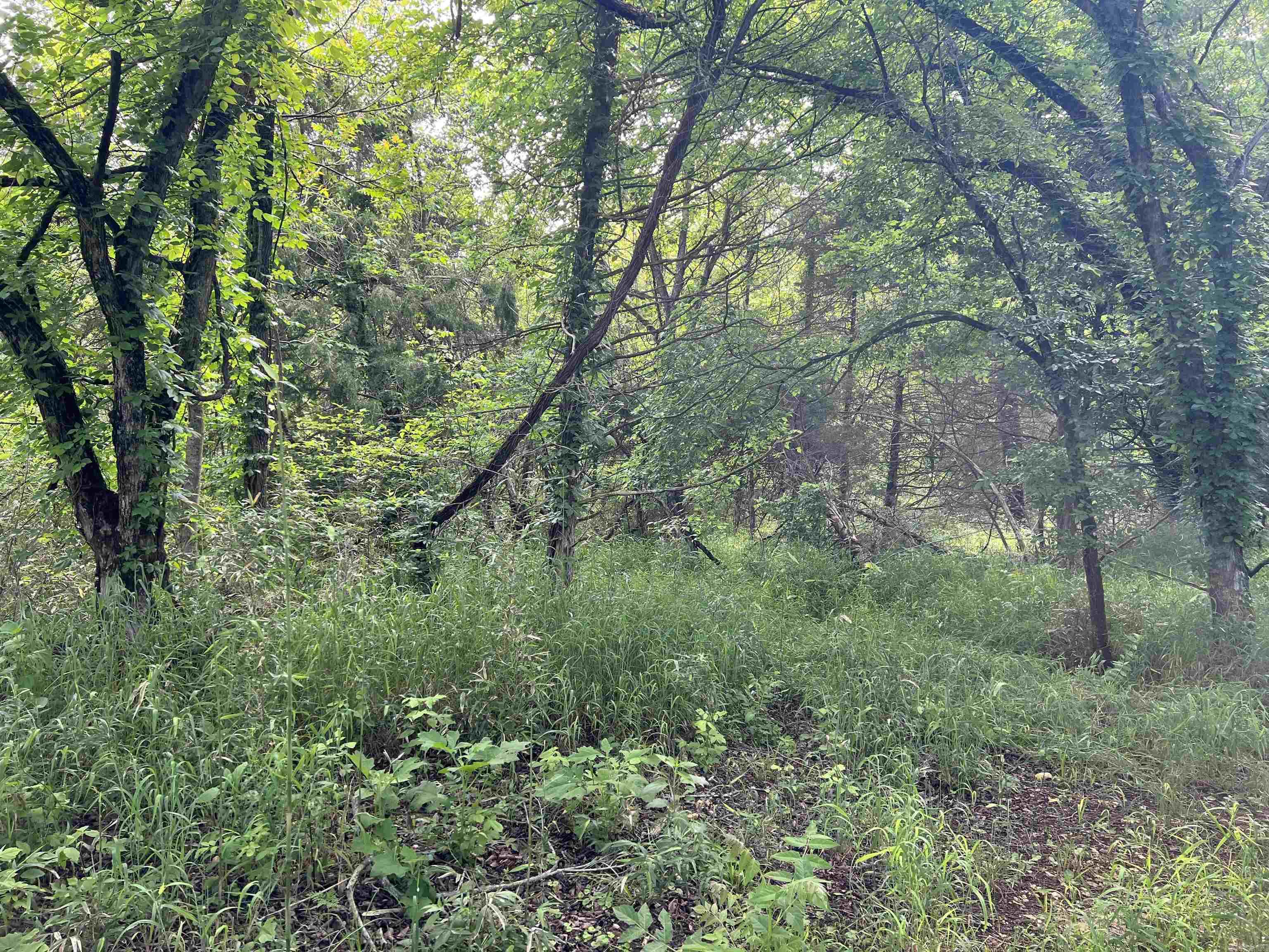 14.94 Acres On Meadow Creek Drive Property Photo 9