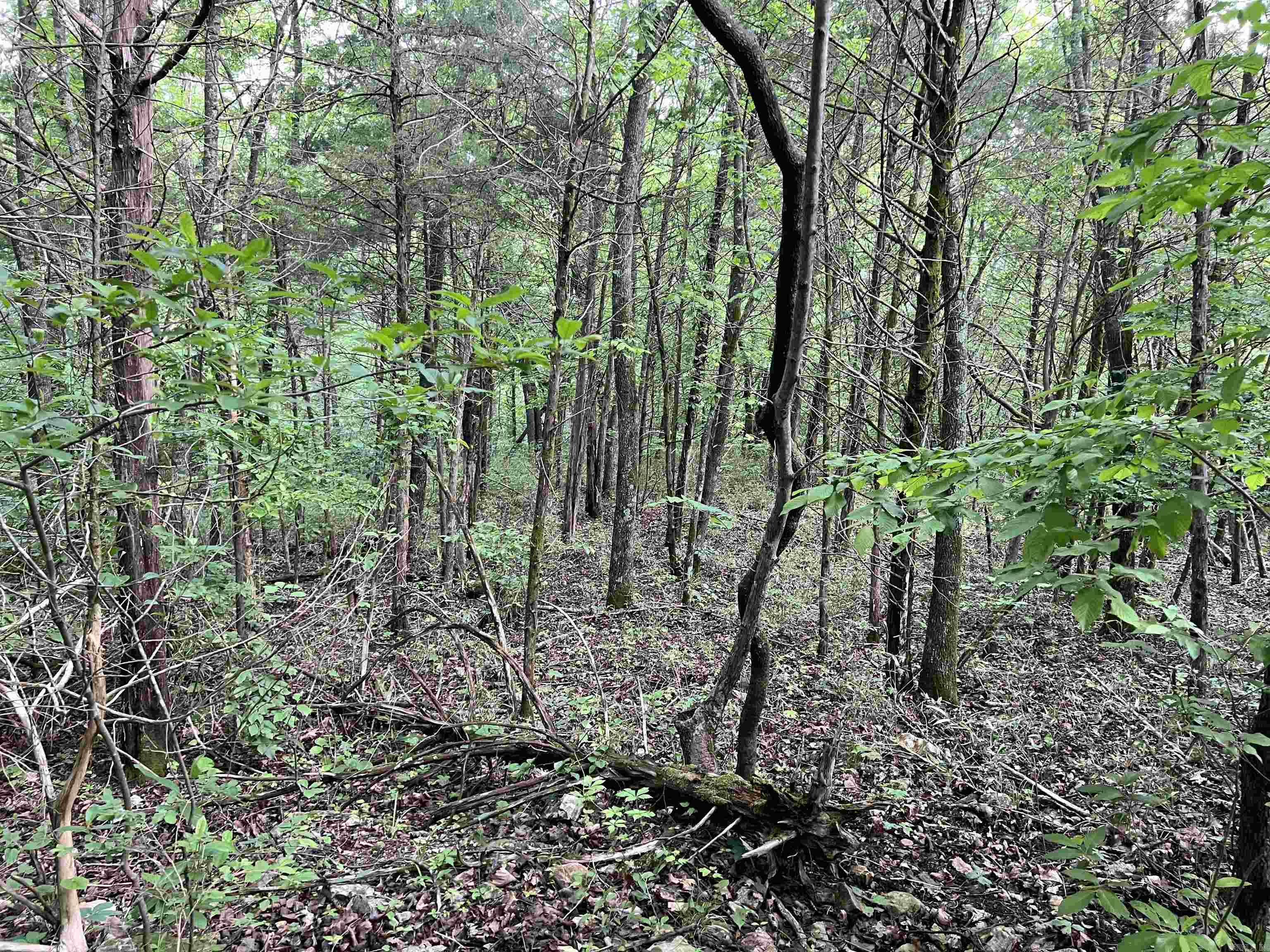14.94 Acres On Meadow Creek Drive Property Photo 10