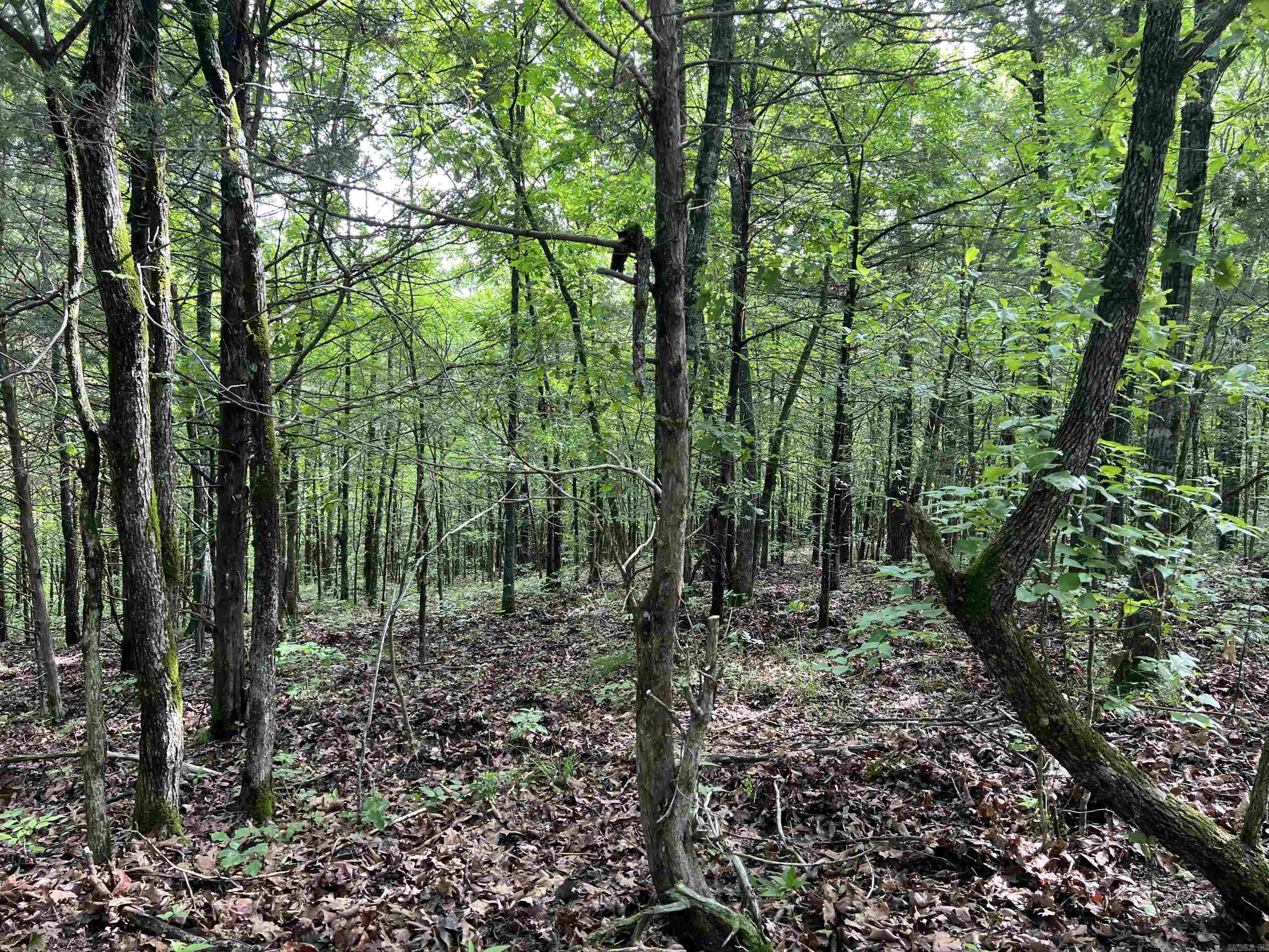 14.94 Acres On Meadow Creek Drive Property Photo 11