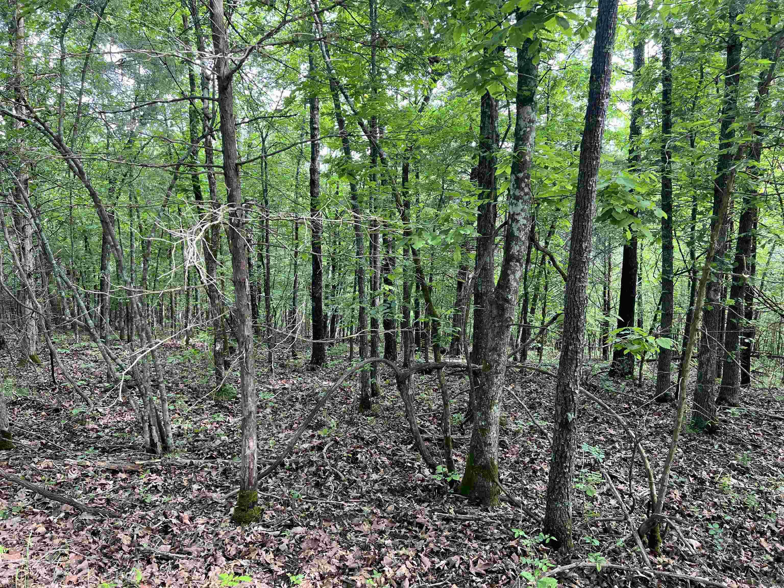 14.94 Acres On Meadow Creek Drive Property Photo 13