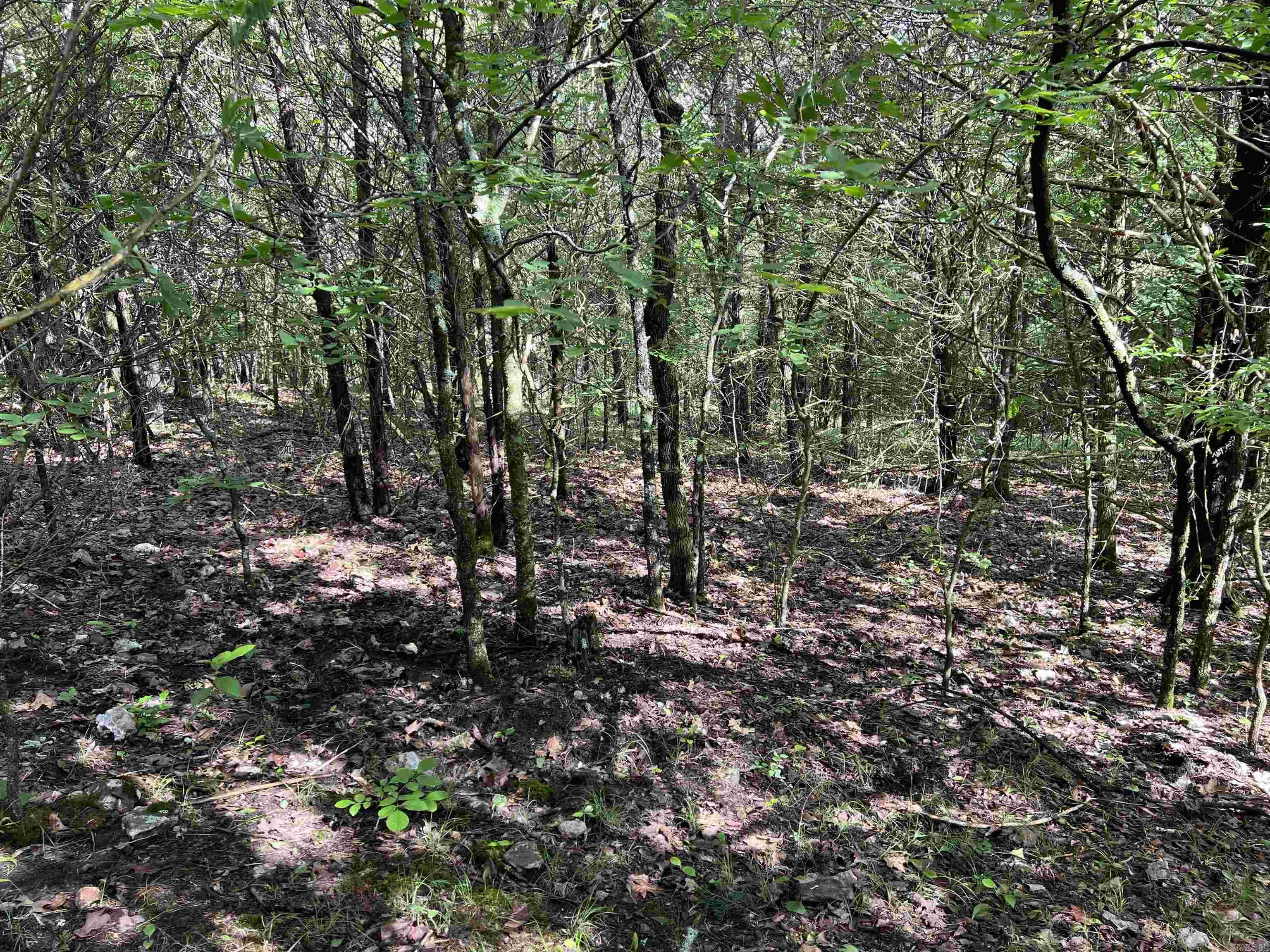 14.94 Acres On Meadow Creek Drive Property Photo 14