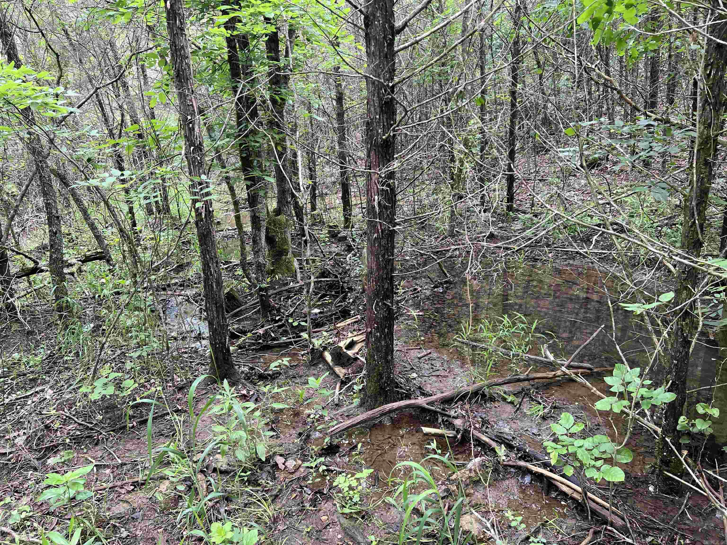 14.94 Acres On Meadow Creek Drive Property Photo 16