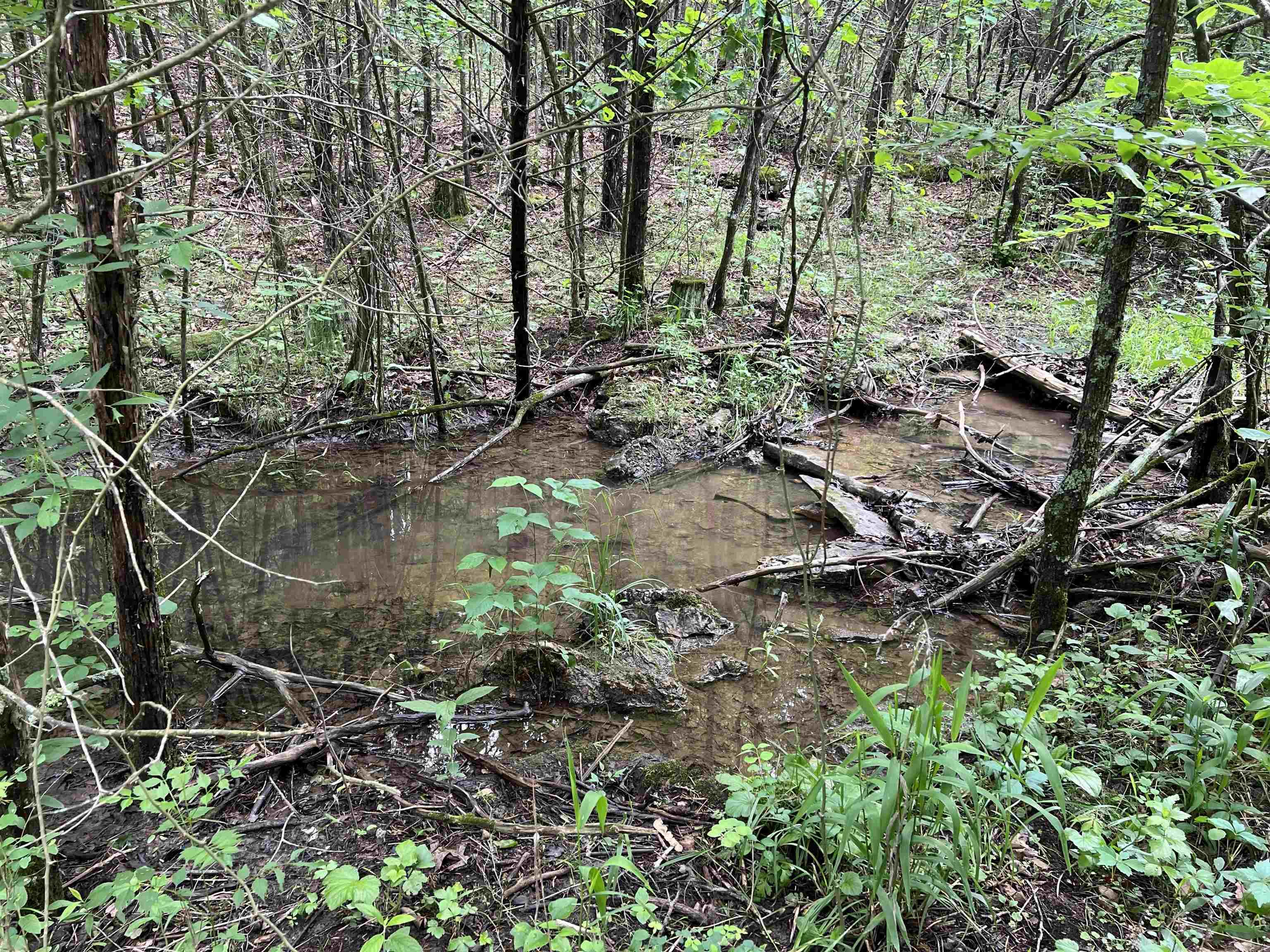 14.94 Acres On Meadow Creek Drive Property Photo 17