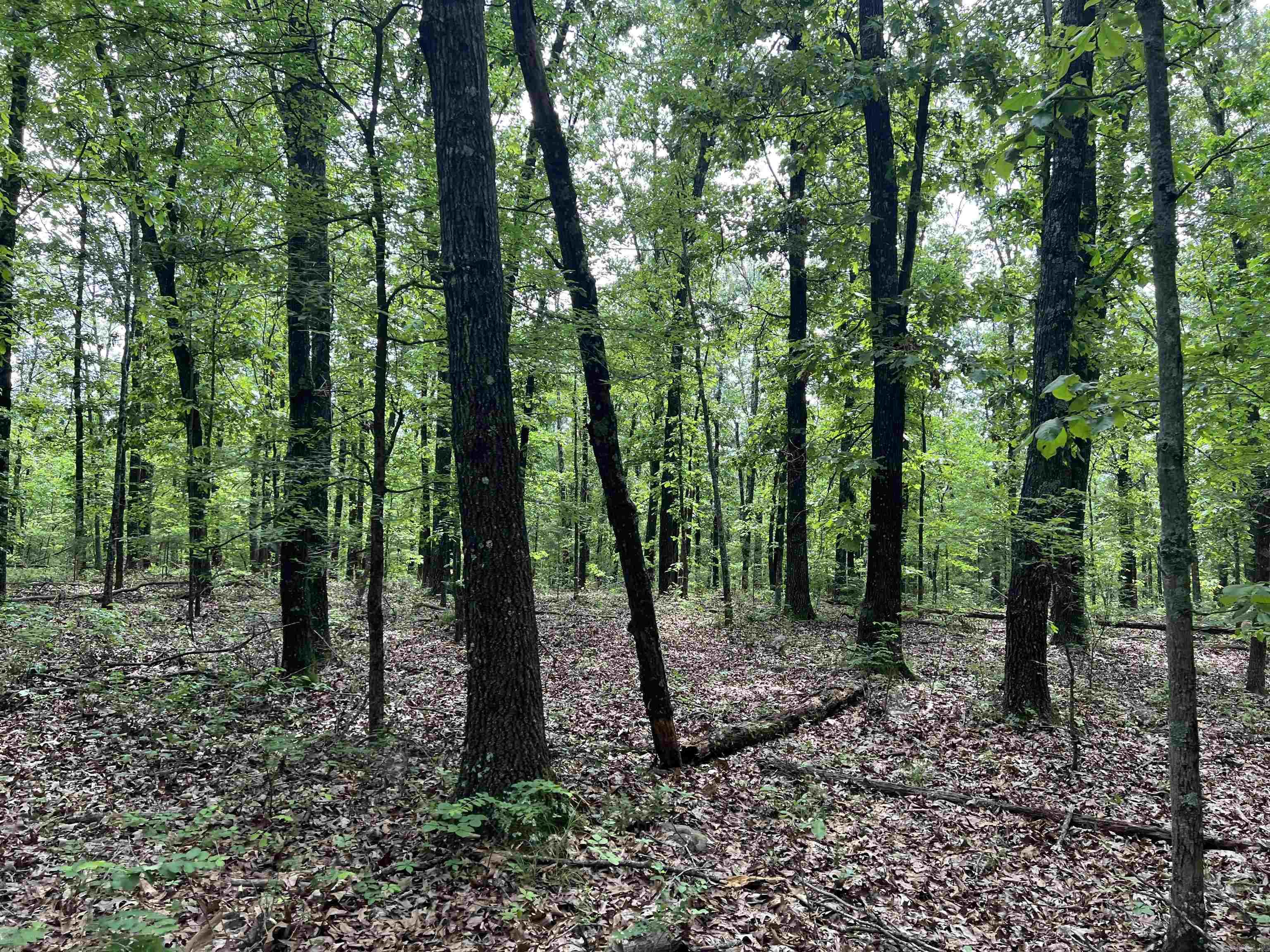 8.72 Acres On Meadow Creek Drive Property Photo 1