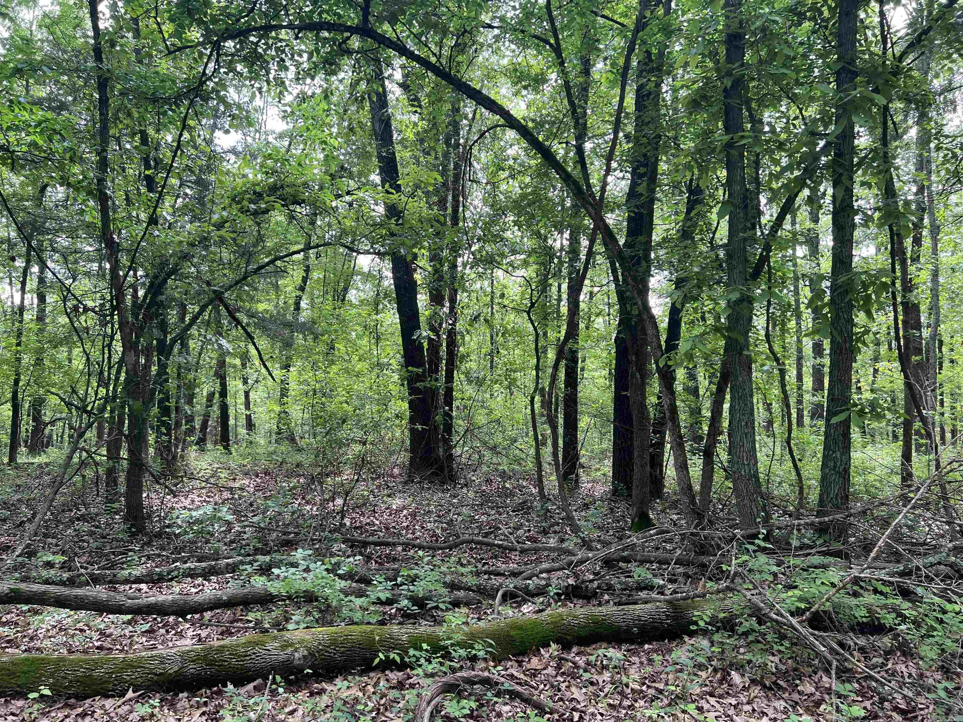 8.72 Acres On Meadow Creek Drive Property Photo 2