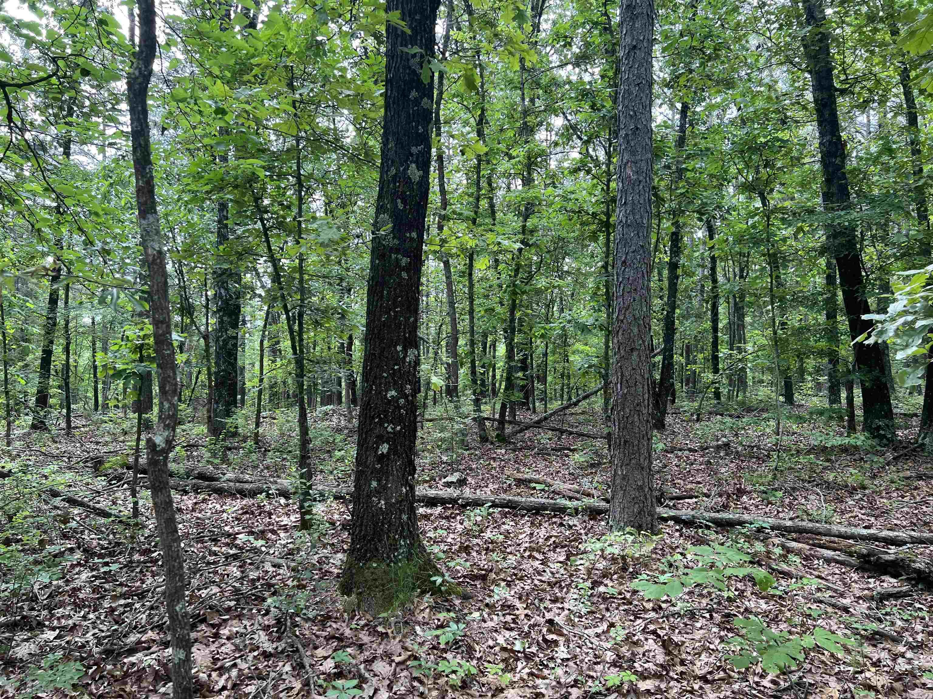8.72 Acres On Meadow Creek Drive Property Photo 3