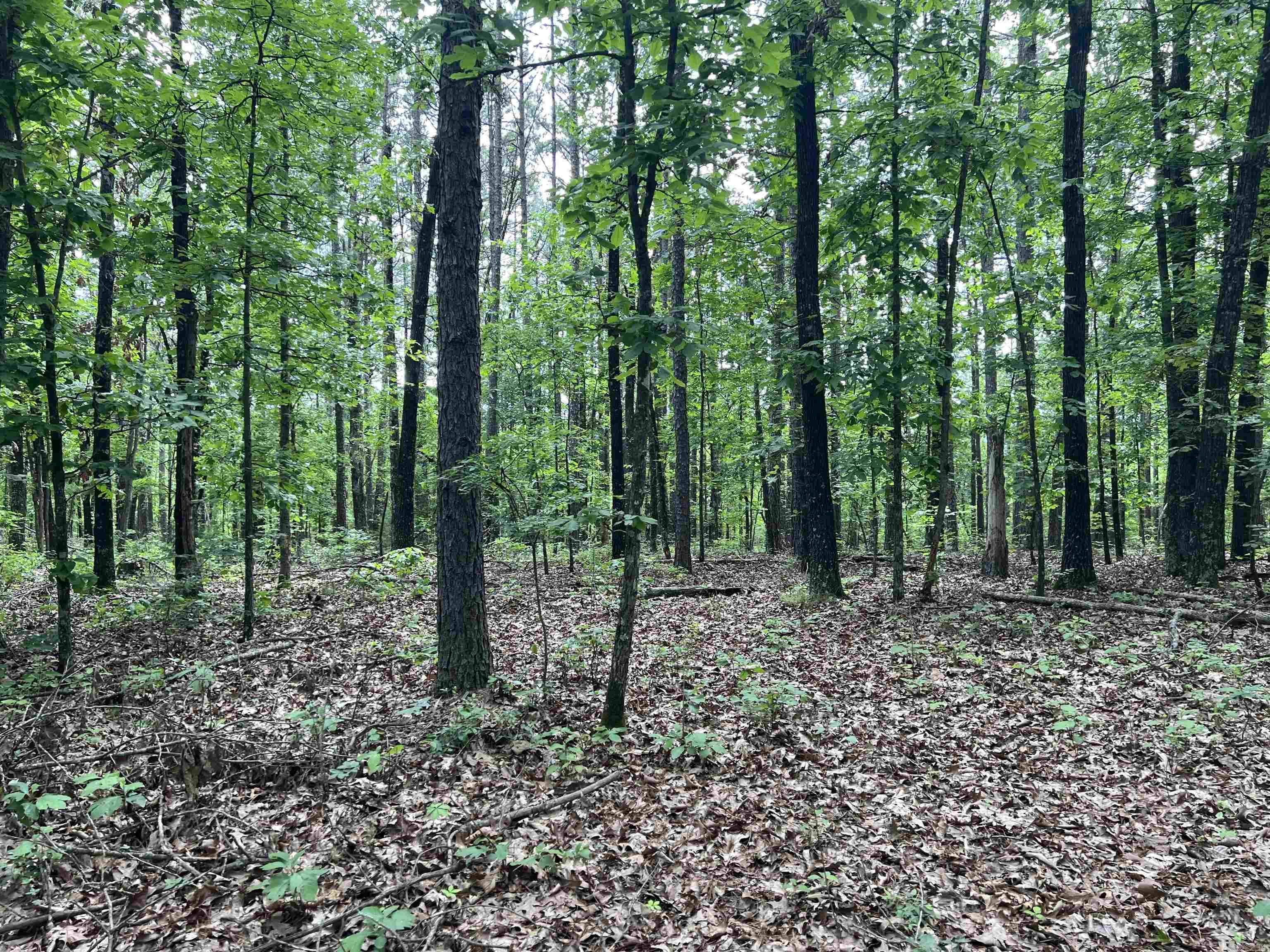 8.72 Acres On Meadow Creek Drive Property Photo 4
