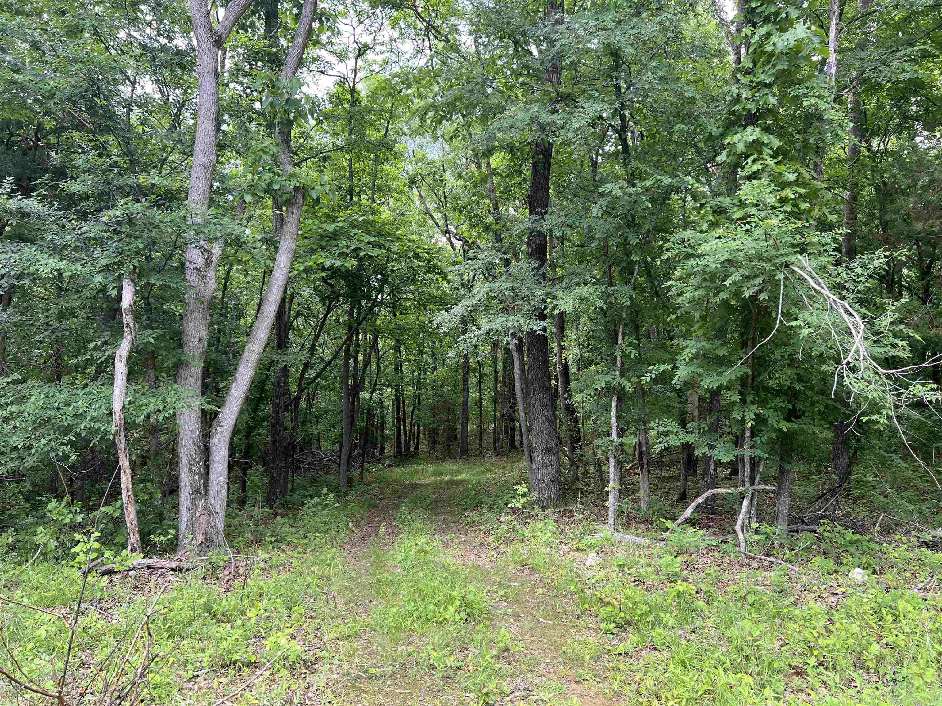 8.72 Acres On Meadow Creek Drive Property Photo 5