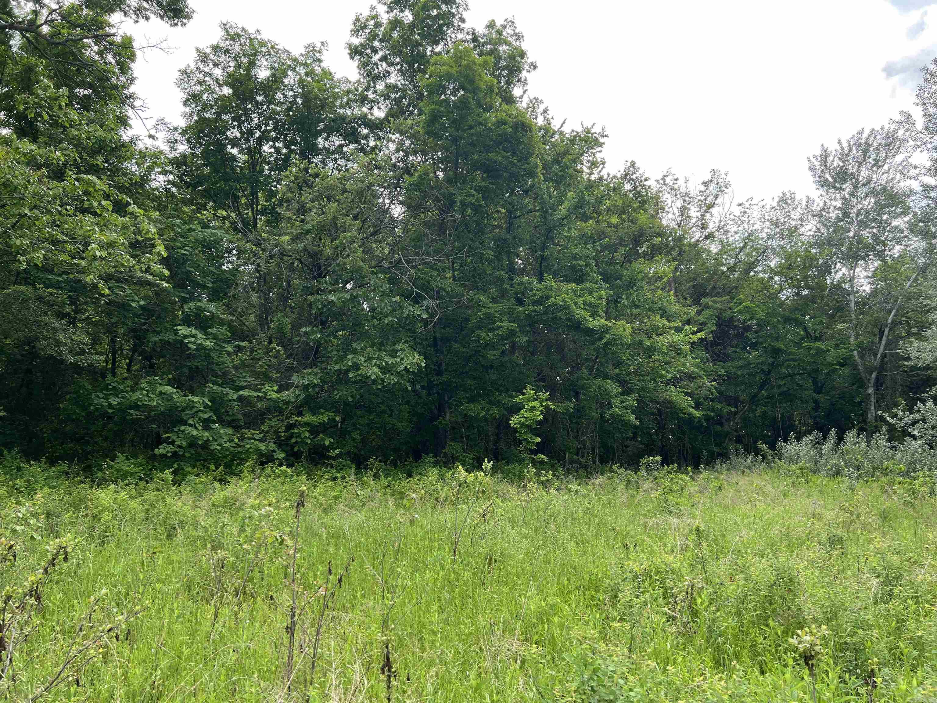 8.72 Acres On Meadow Creek Drive Property Photo 8