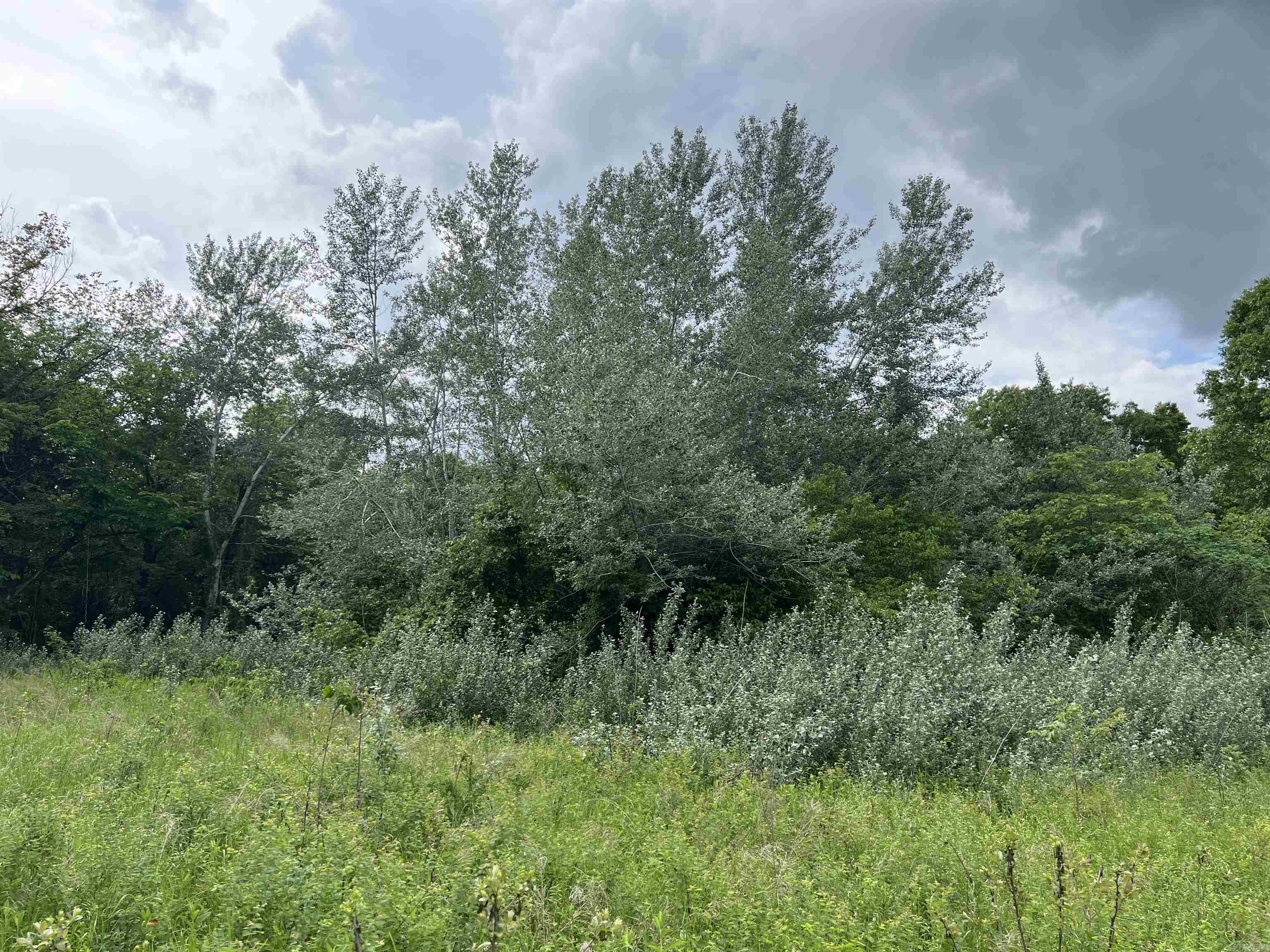 8.72 Acres On Meadow Creek Drive Property Photo 9