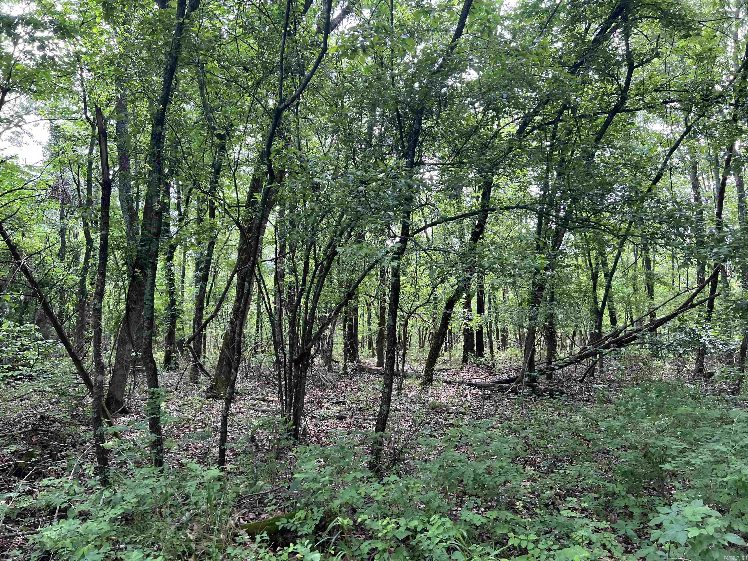 8.72 Acres On Meadow Creek Drive Property Photo 10
