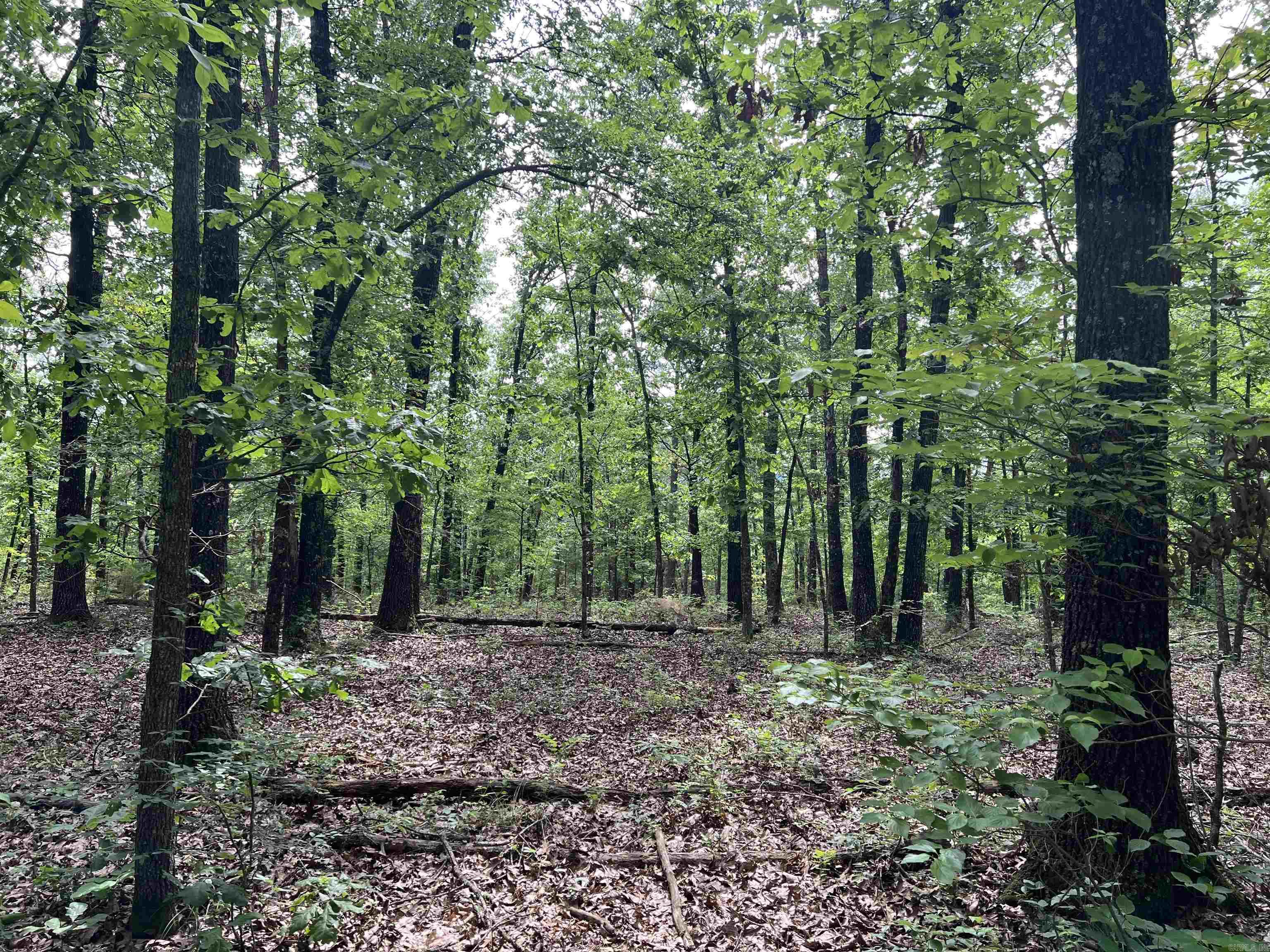 8.72 Acres On Meadow Creek Drive Property Photo 12