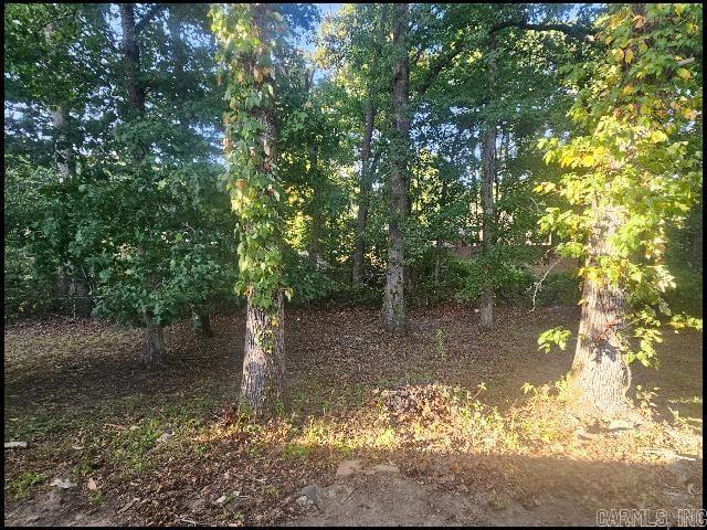 13 Dawn Court Property Photo 20