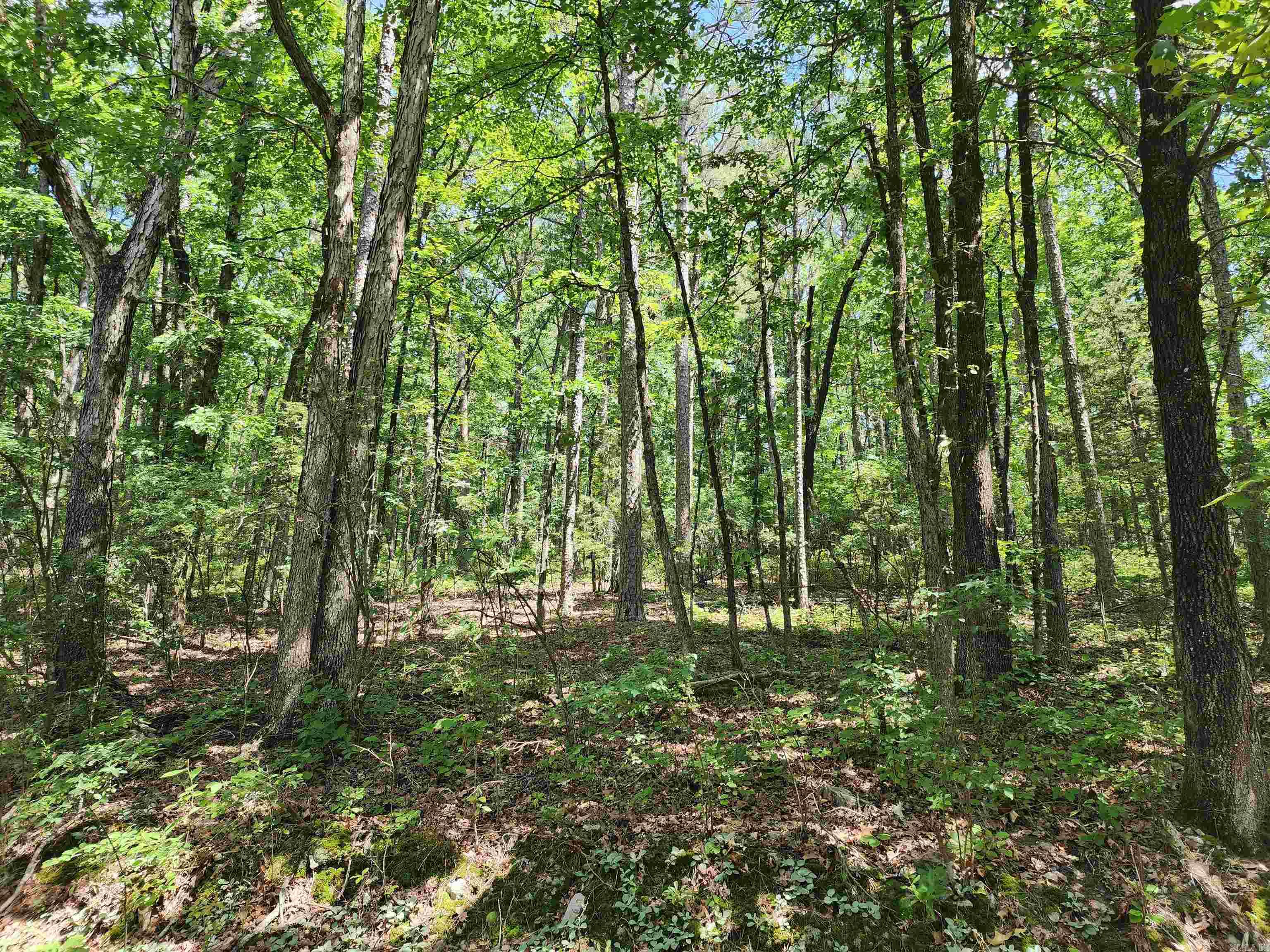 12 Belmonte Lane Property Photo 1