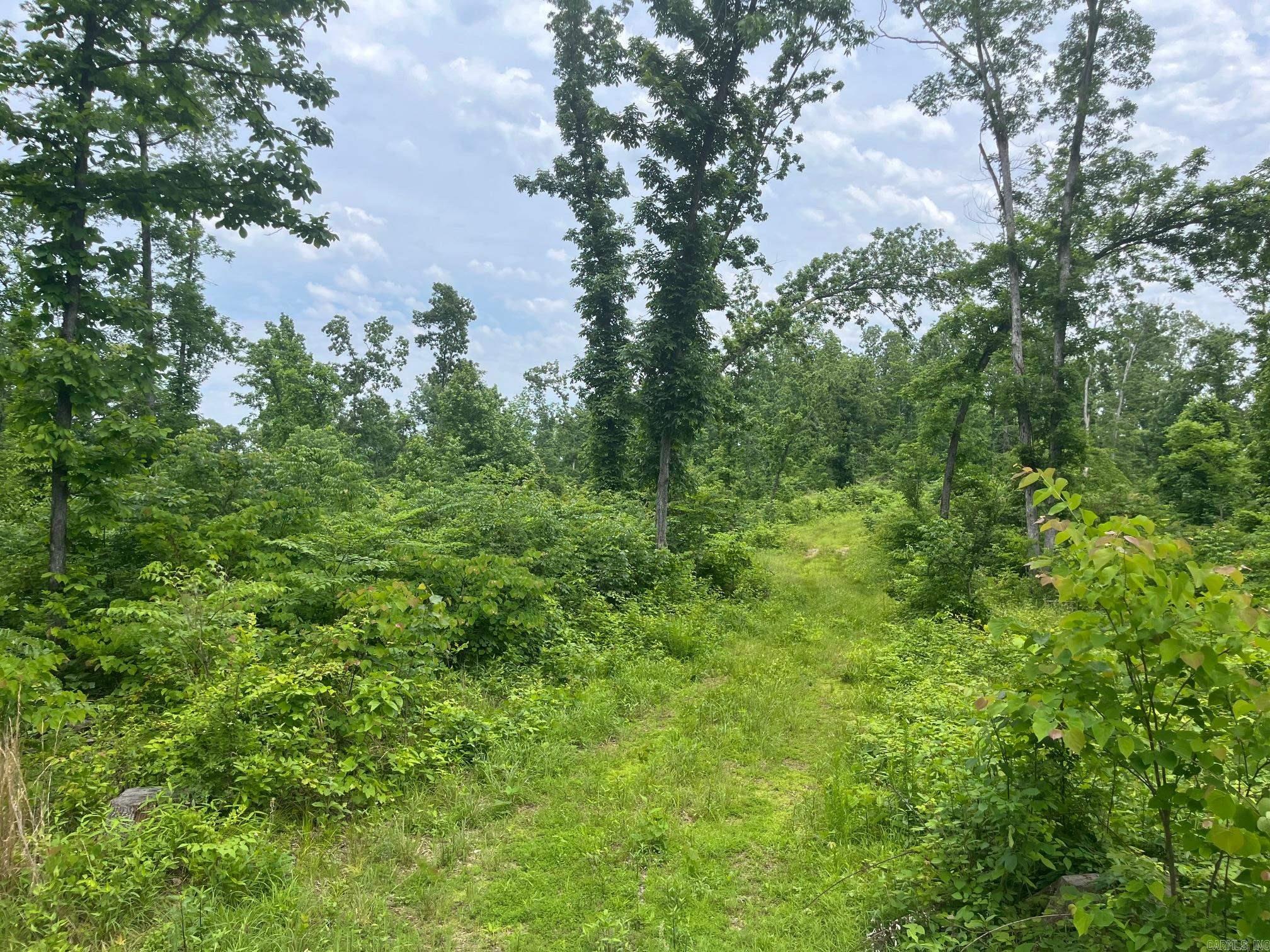 80 S Greasy Bottom Road Property Photo 2