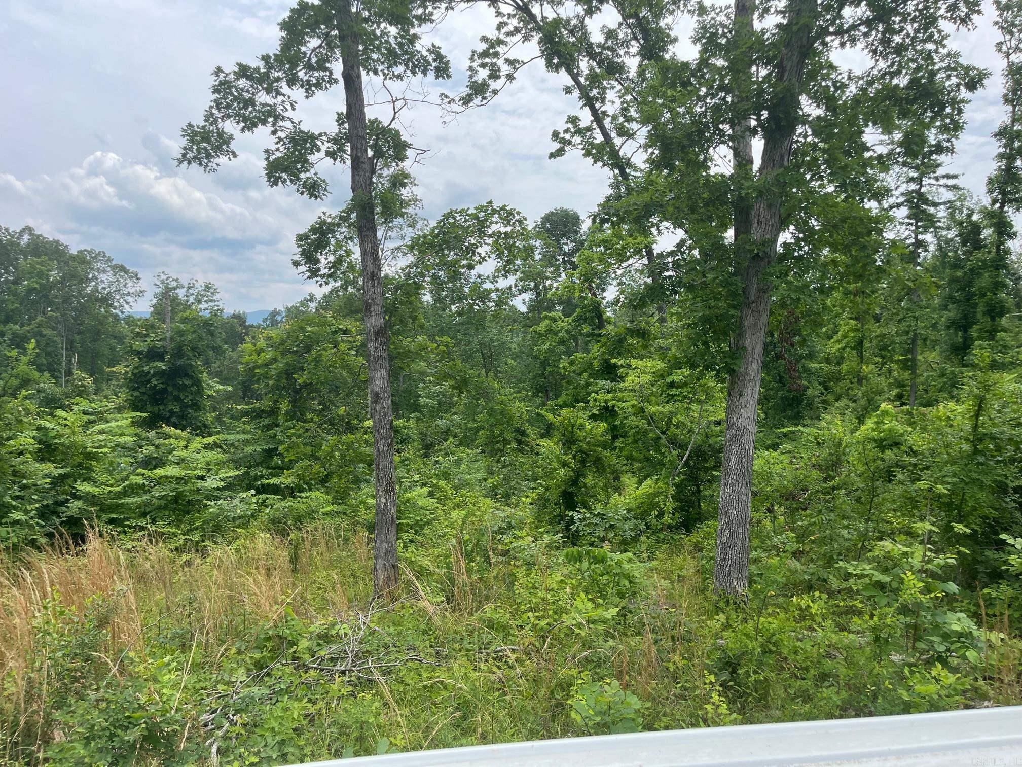 80 S Greasy Bottom Road Property Photo 3