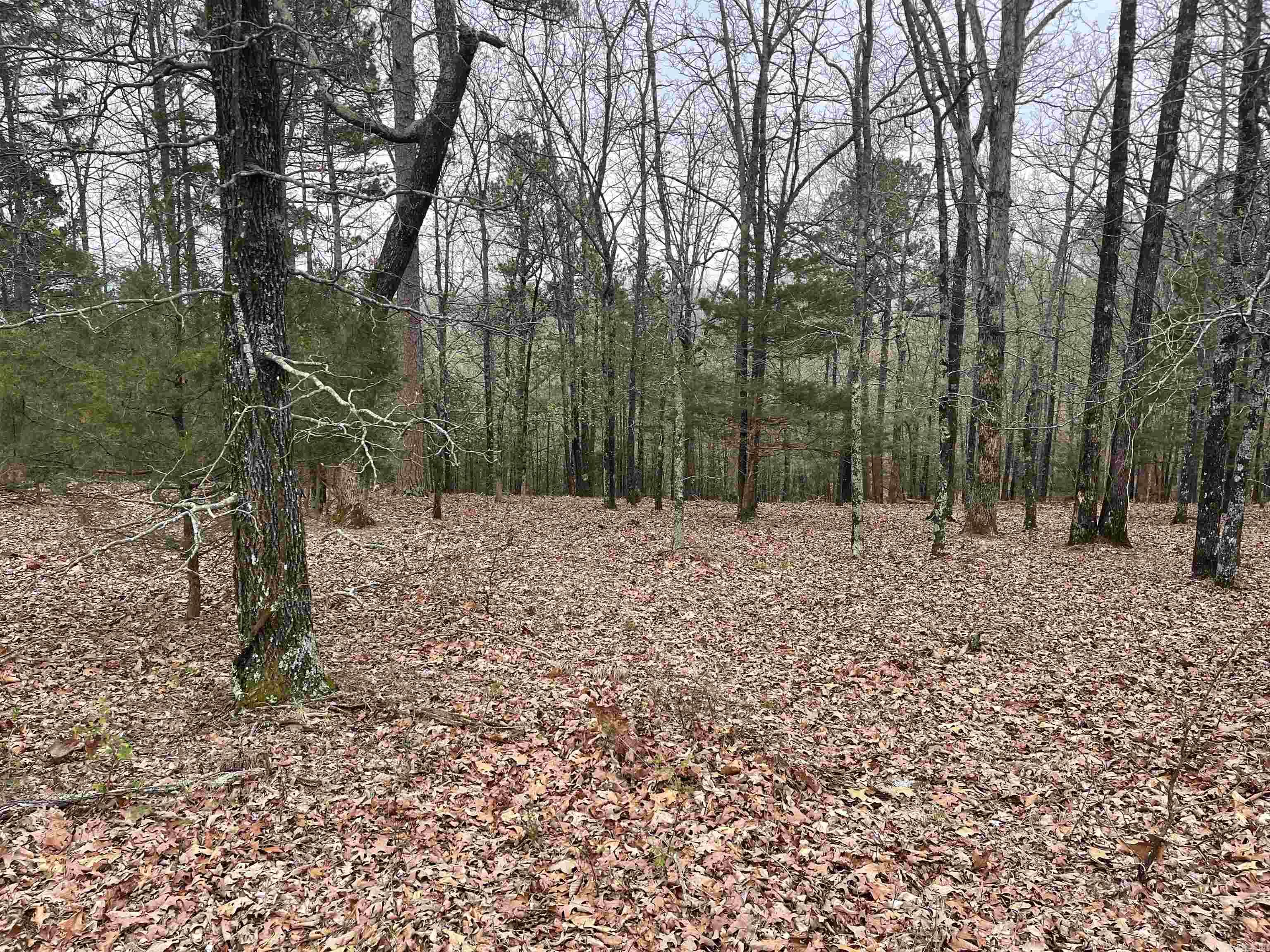Lot 4 Diamond Bluff Road Property Photo